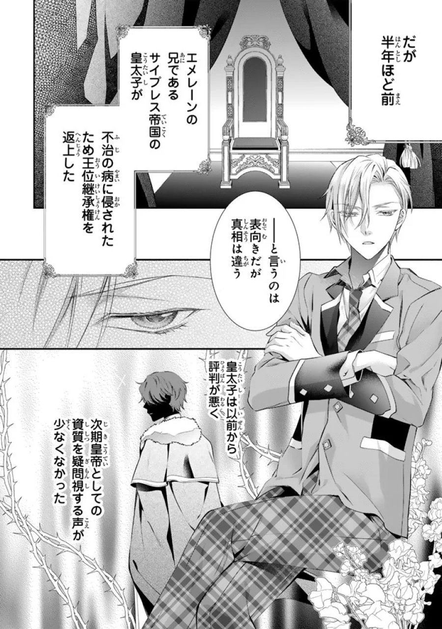 婚約破棄されたいので素顔を隠して残念令嬢になります!え?腹黒王子にバレてるとか聞いてないんですけど!? 第10話 - Page 3