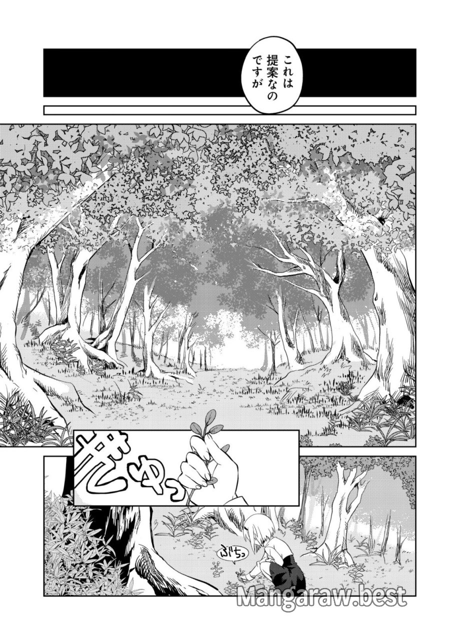 Butsurigata Hakuma Doushi No Kiseki: Soro No Shien Shoku, Jibun Ni Buff Wo Motte Kougeki Toku Ka Musou. Kouhou Shien? Sonna Koto Yori Bouryoku Desu! 第1話 - Page 17