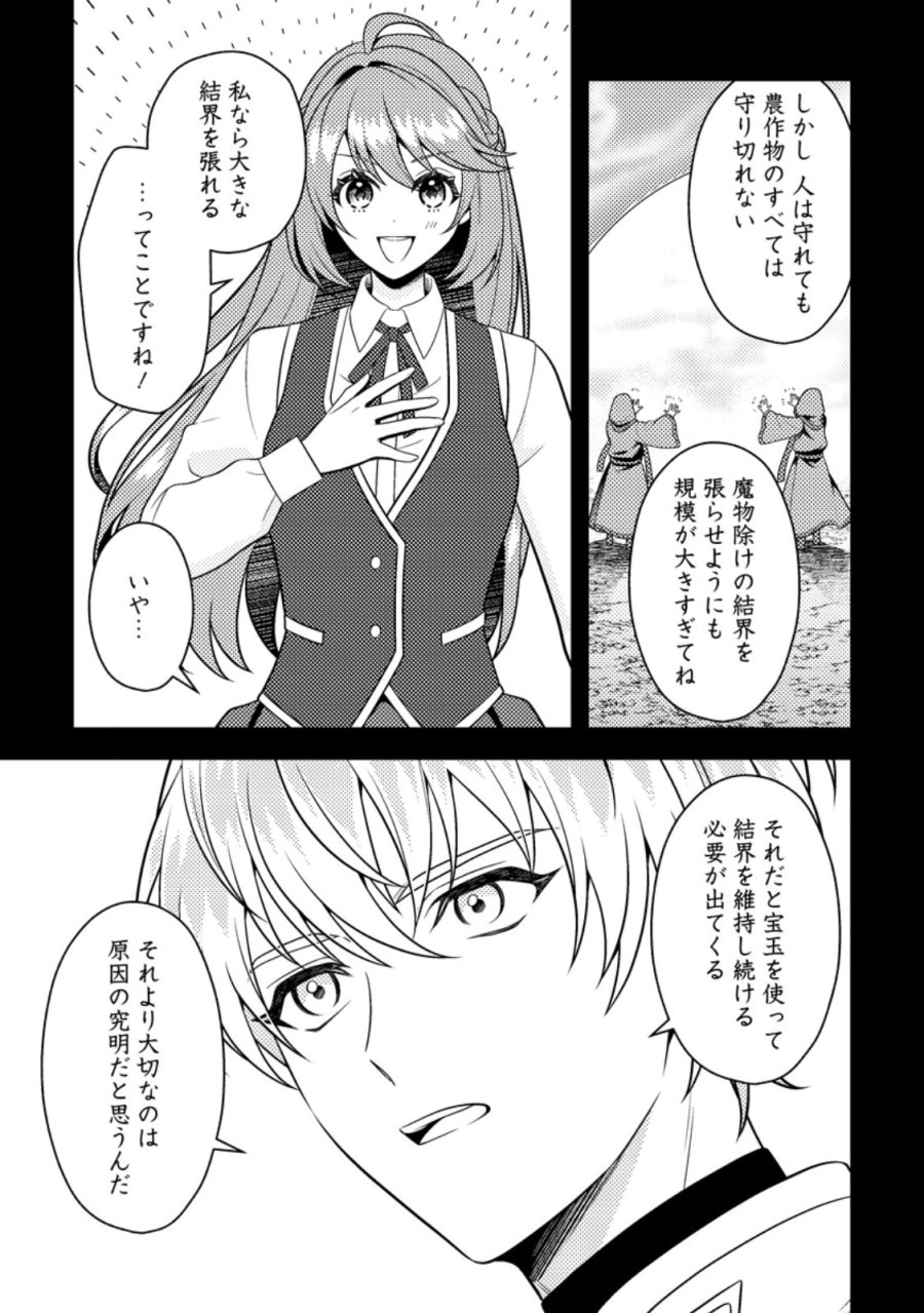 宝石の聖女―「欲深女め!」と追放されたけど、隣国の王子様と幸せに暮らすのであとはもうご勝手に!― 第5.1話 - Page 3