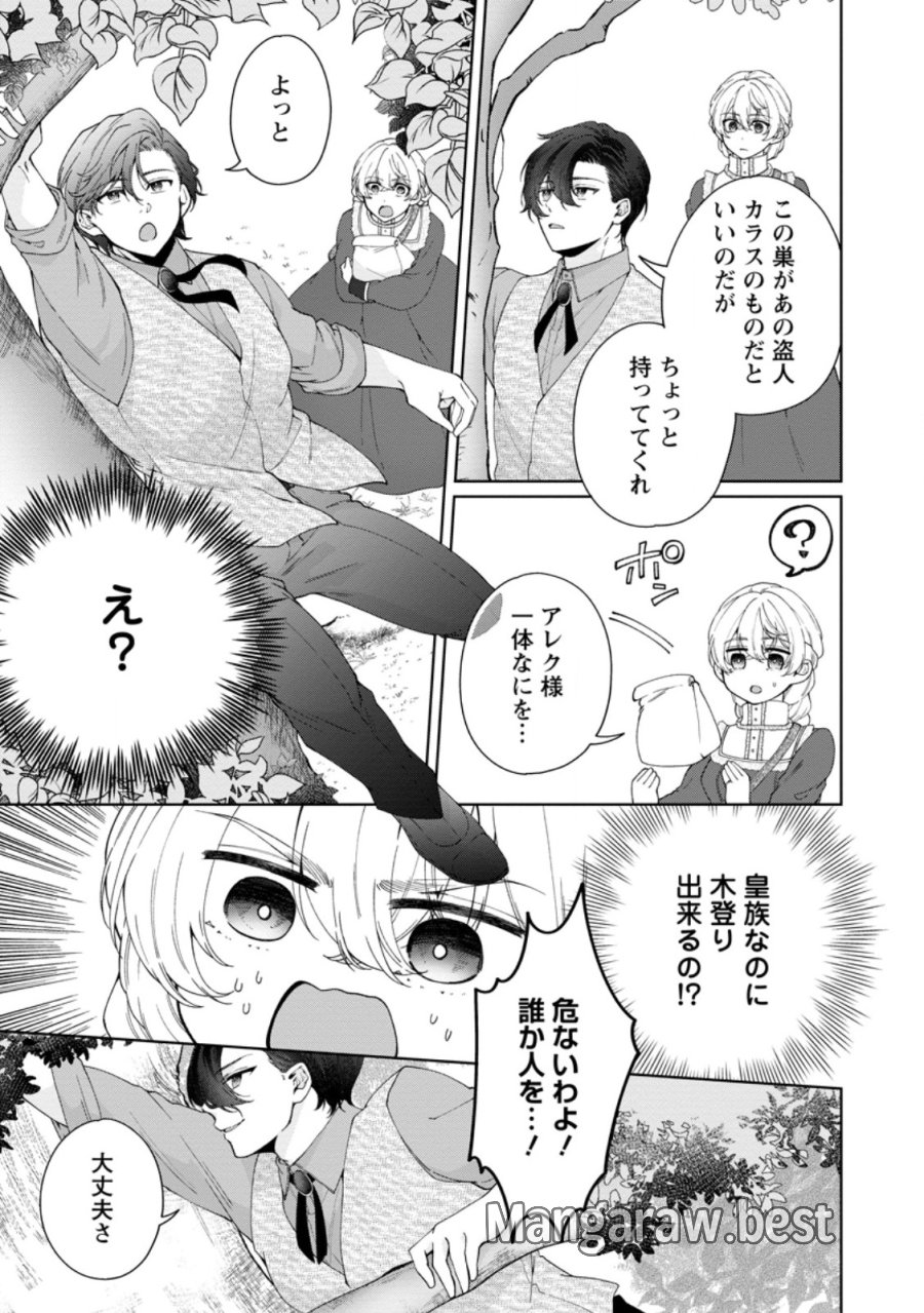 悪役令嬢の成り上がり～隣国で宝石の聖女と呼ばれるまで～ 第11.1話 - Page 5