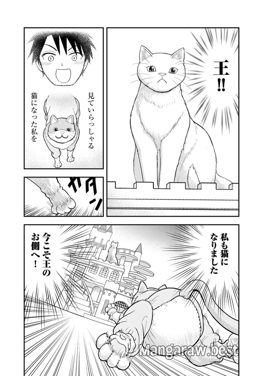 王が猫になった 第11話 - Page 18