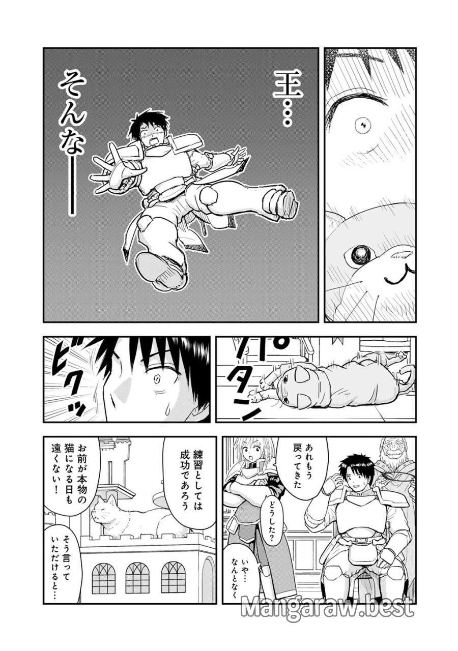 王が猫になった 第11話 - Page 21