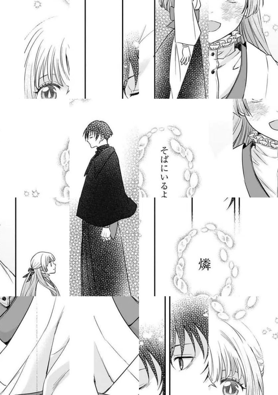 無能と言われ続けた魔導師、実は世界最強なのに幽閉されていたので自覚なし 第15.2話 - Trang 9