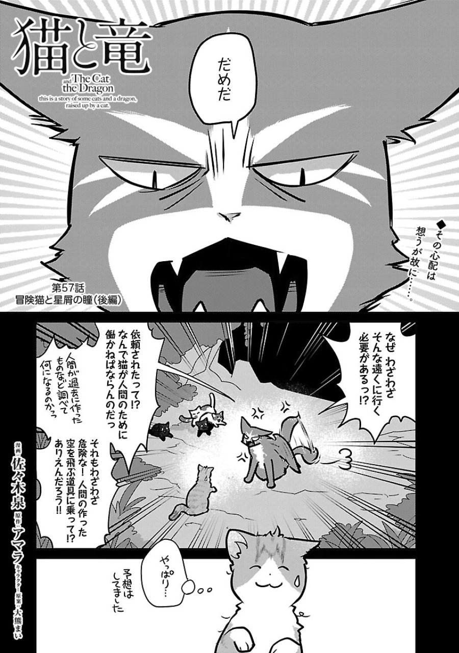 猫と竜 第57話 - Trang 1