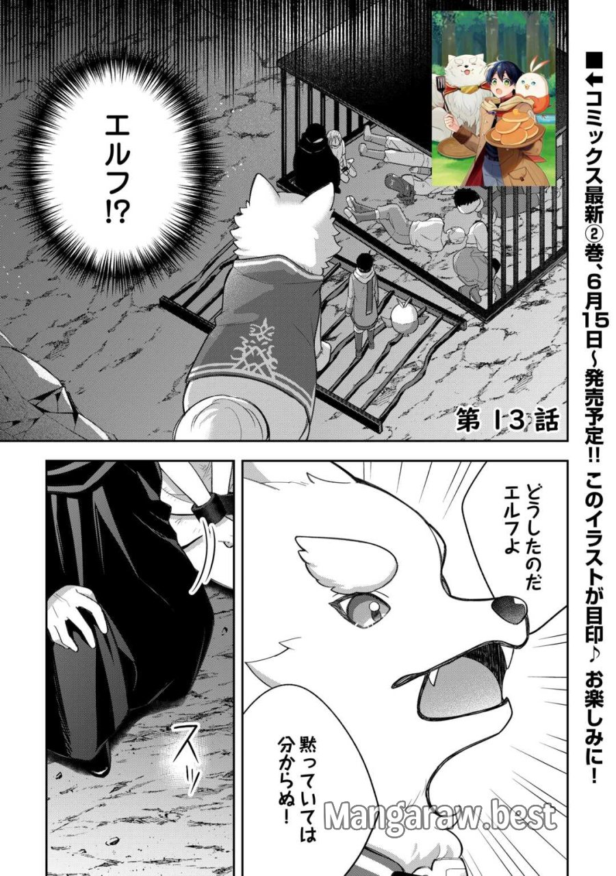 お人好し底辺テイマーがSSSランク聖獣たちともふもふ無双する 第13話 - Page 1