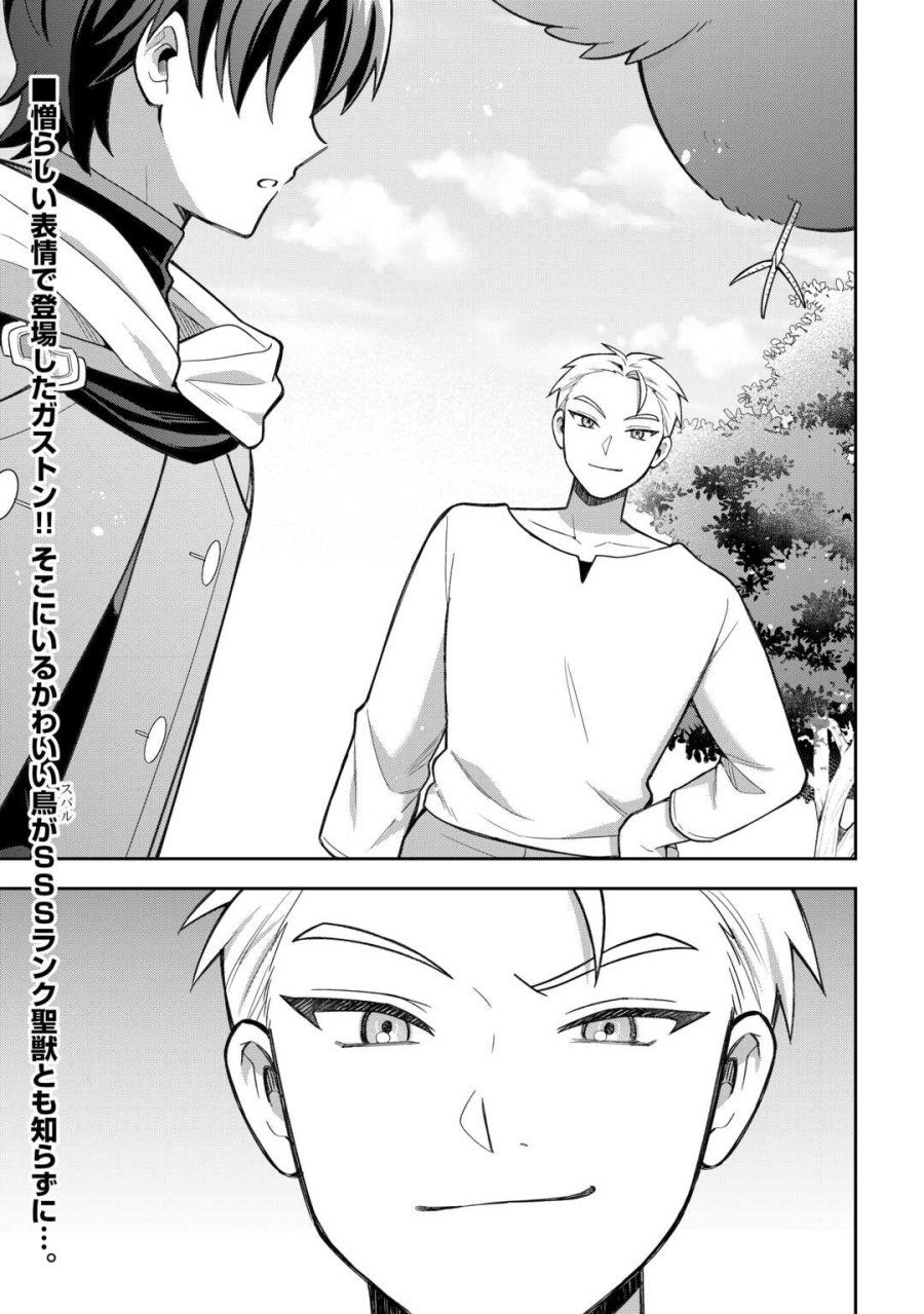 お人好し底辺テイマーがSSSランク聖獣たちともふもふ無双する 第13話 - Page 15