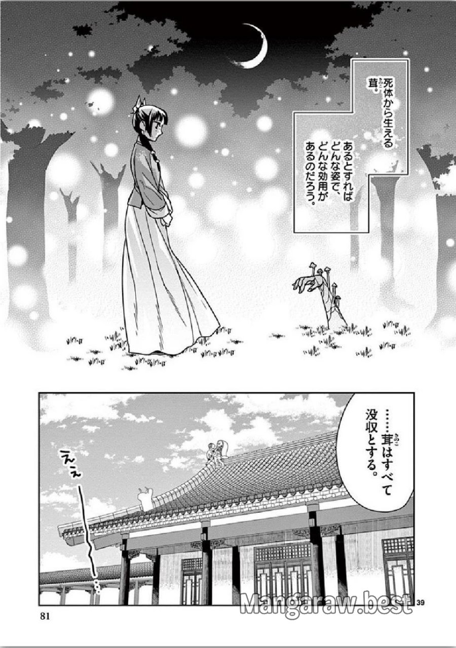 薬屋のひとりごと~猫猫の後宮謎解き手帳~ 第35話 - Trang 39