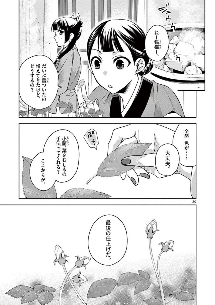 薬屋のひとりごと~猫猫の後宮謎解き手帳~ 第27話 - Trang 30