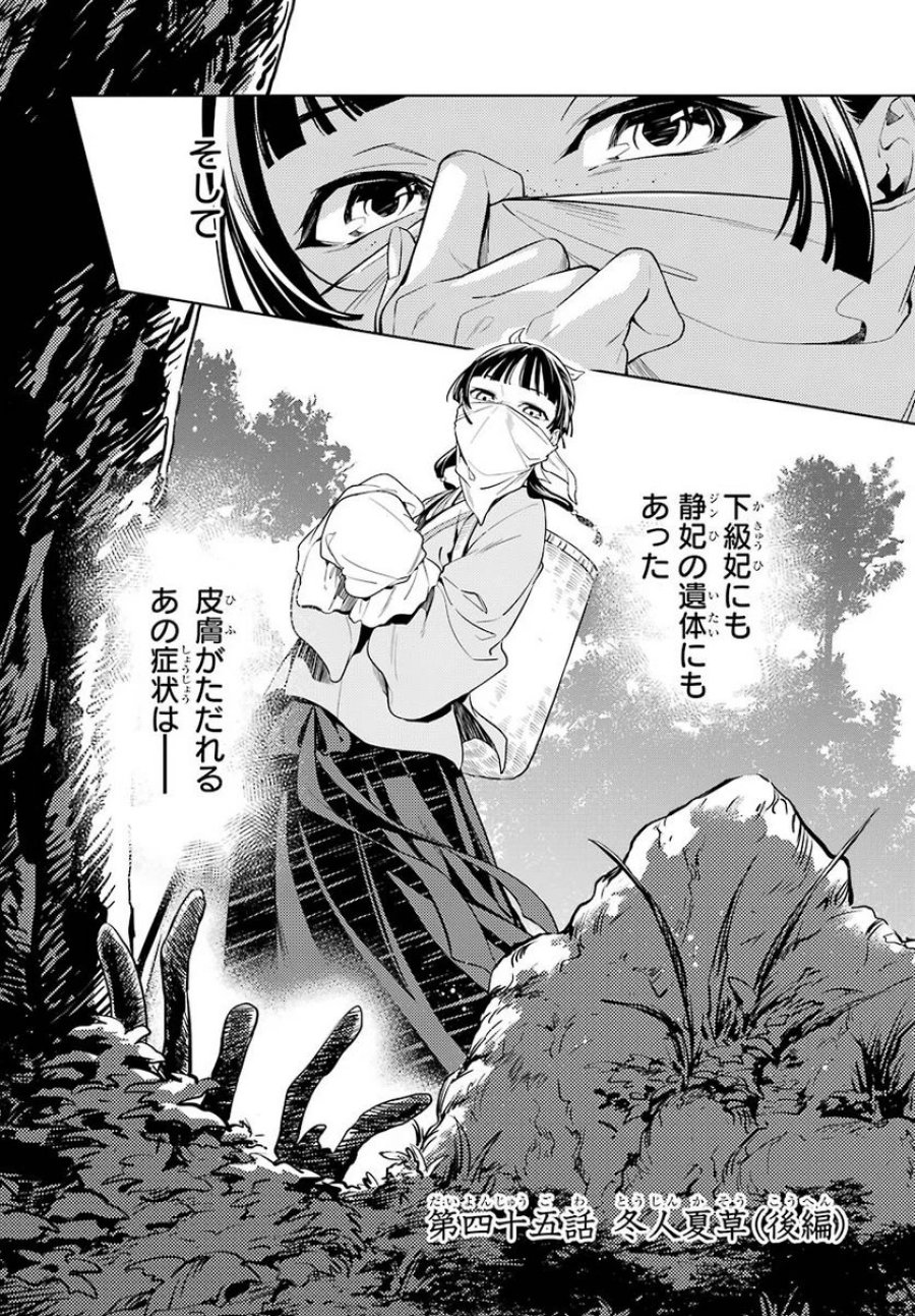 薬屋のひとりごと~猫猫の後宮謎解き手帳~ 第45.22話 - Trang 1