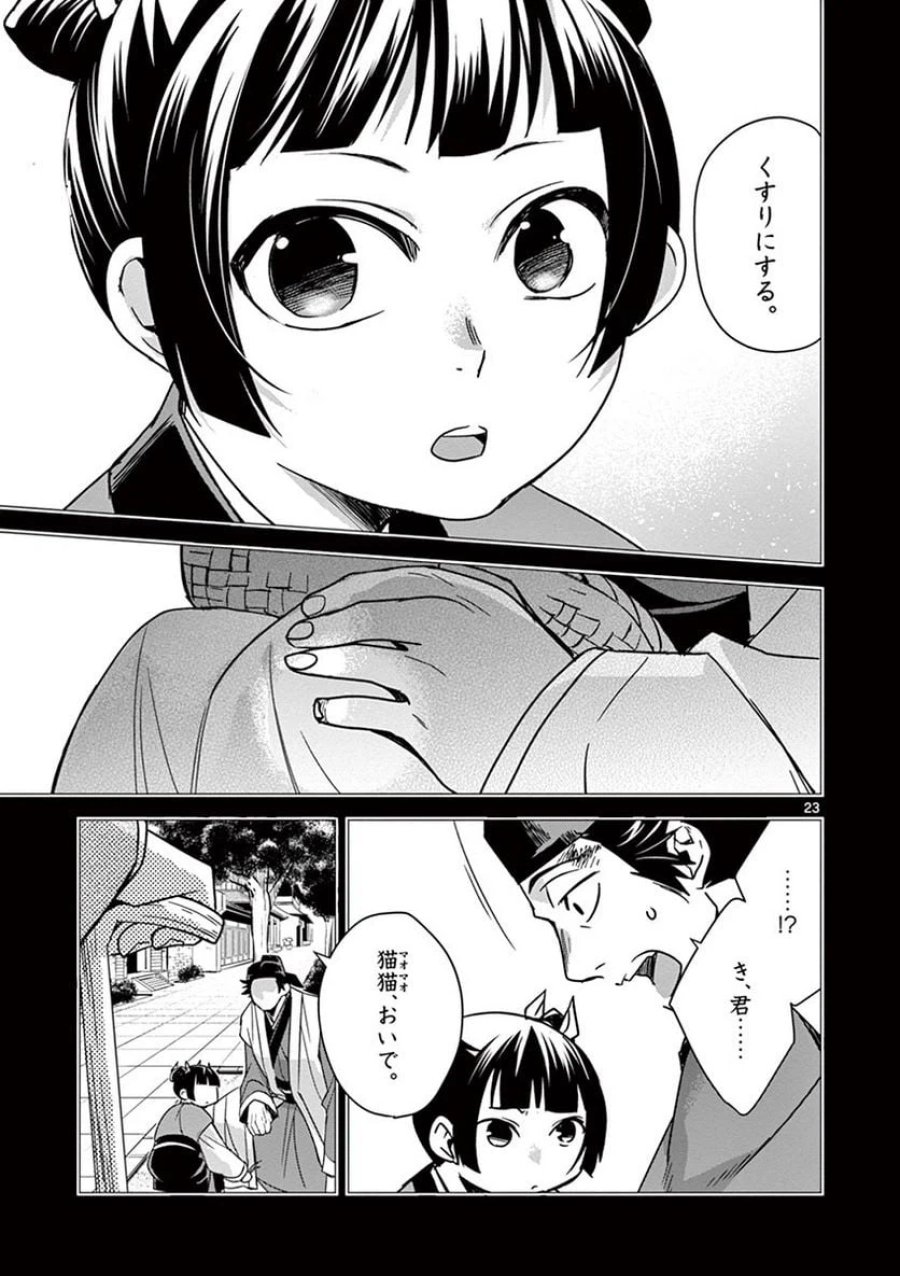 薬屋のひとりごと~猫猫の後宮謎解き手帳~ 第29話 - Trang 23