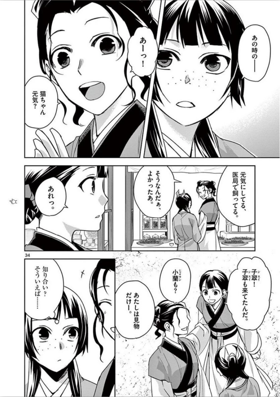薬屋のひとりごと~猫猫の後宮謎解き手帳~ 第32話 - Trang 34