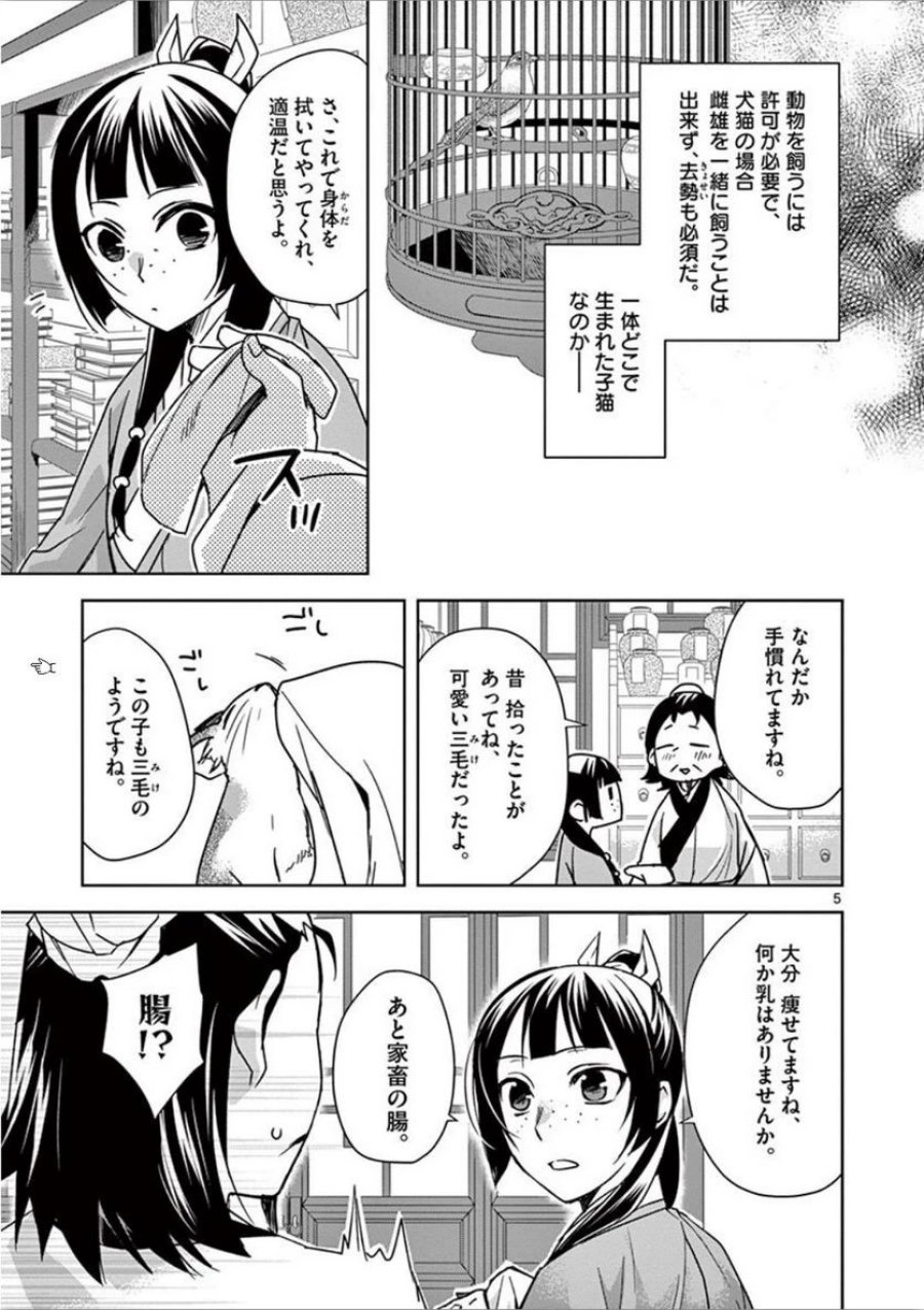 薬屋のひとりごと~猫猫の後宮謎解き手帳~ 第32話 - Trang 5