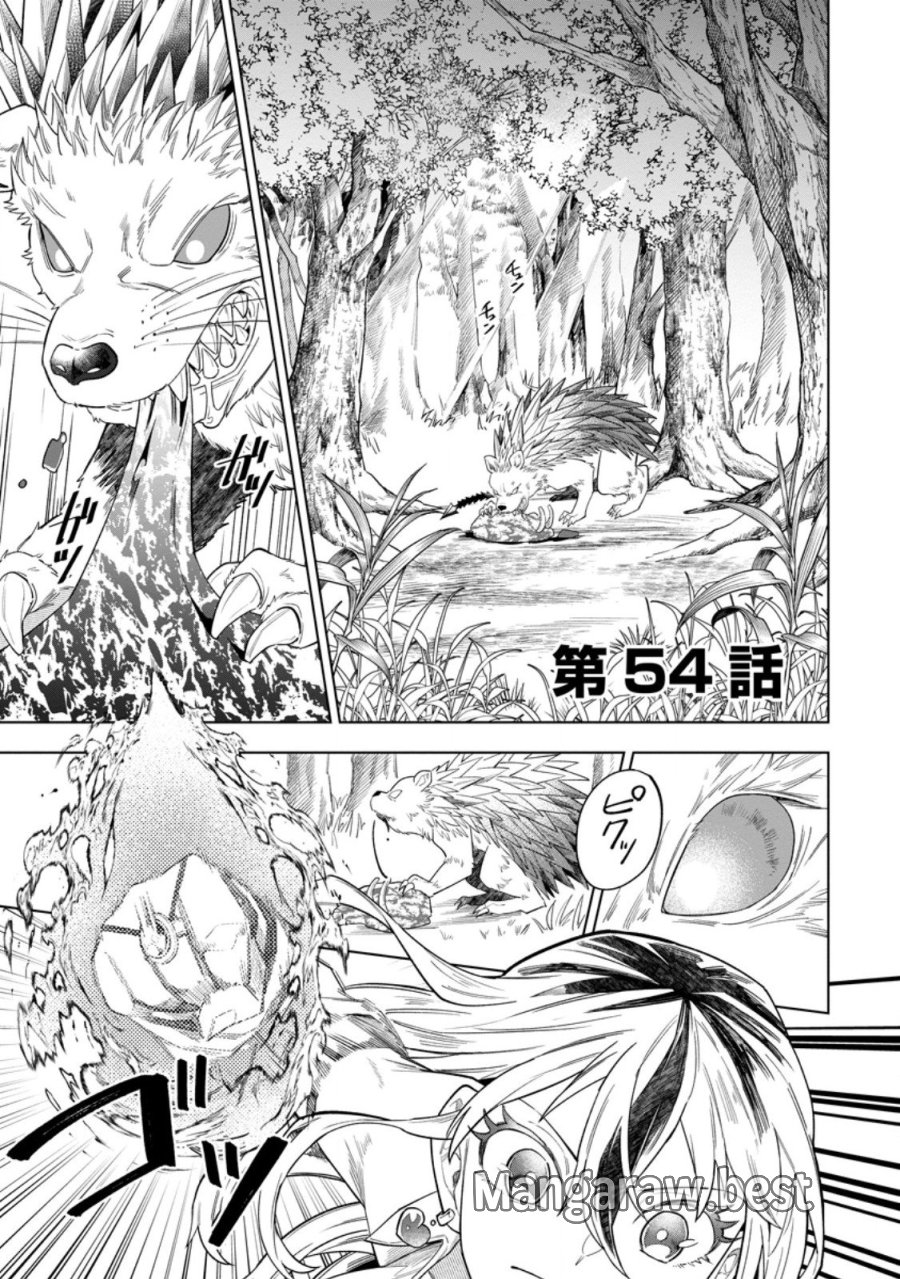勇者パーティーを追放された白魔導師、Sランク冒険者に拾われる ～この白魔導師が規格外すぎる～ 第54.1話 - Page 1