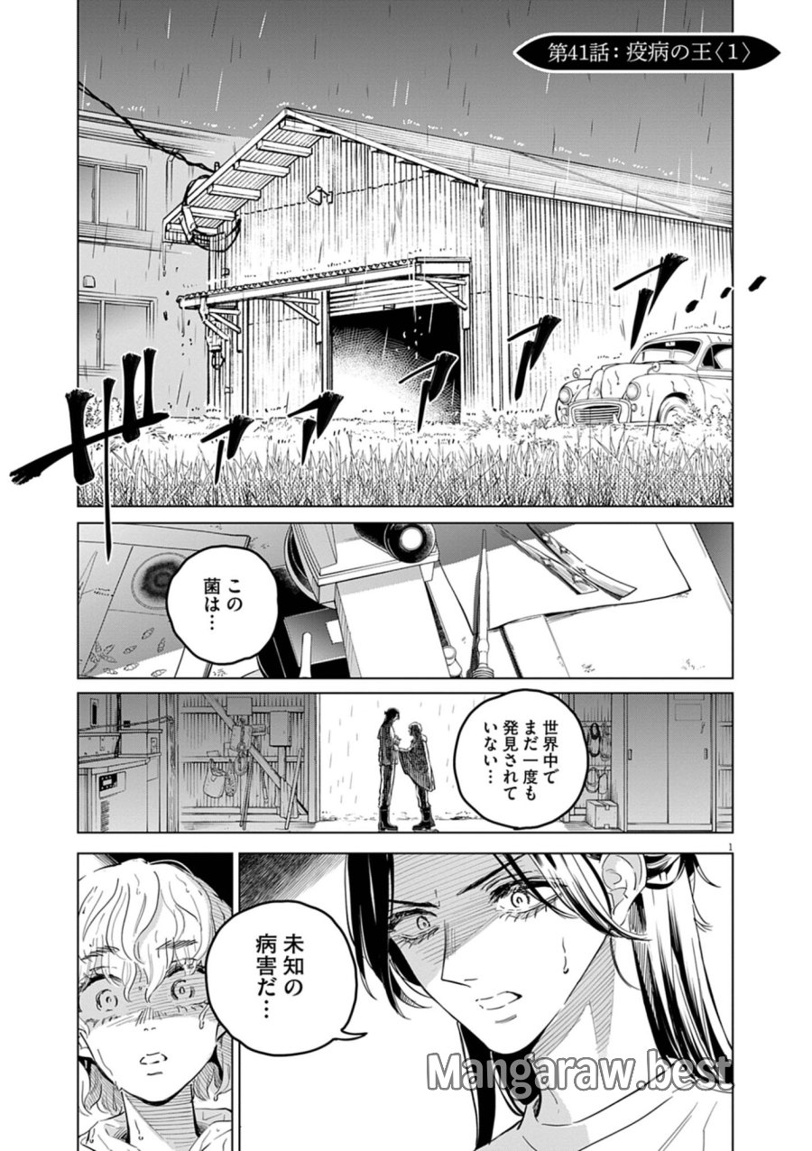 植物病理学は明日の君を願う 第41話 - Trang 1