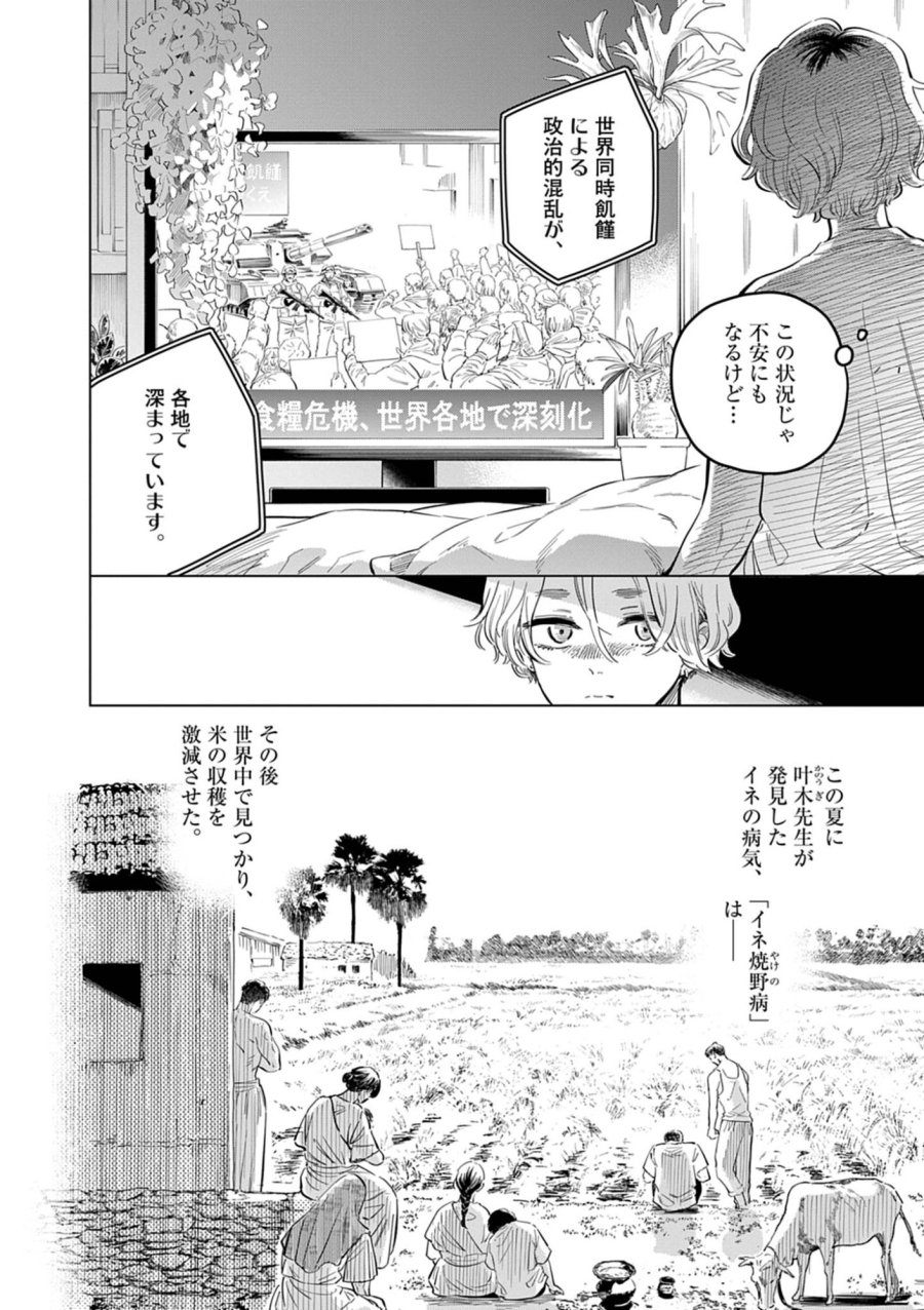 植物病理学は明日の君を願う 第41話 - Trang 4