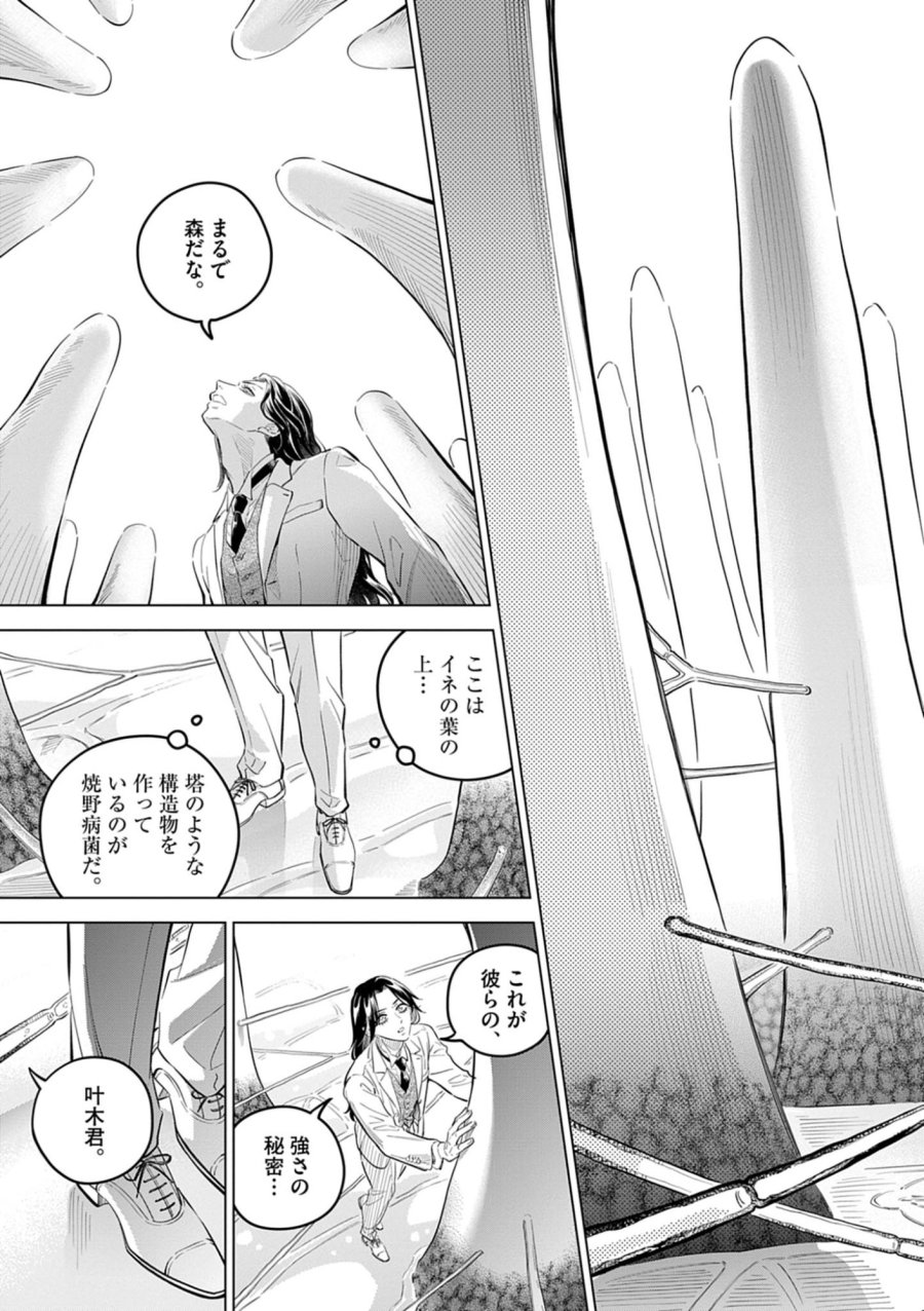 植物病理学は明日の君を願う 第42話 - Page 13