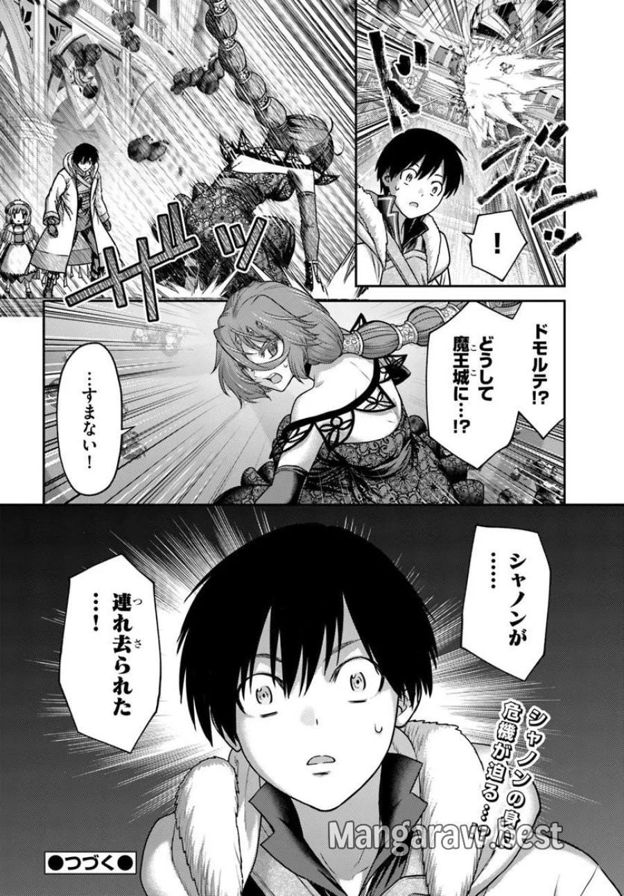幼馴染のS級パーティーから追放された聖獣使い。万能支援魔法と仲間を増やして最強へ！ 第62.2話 - Page 17