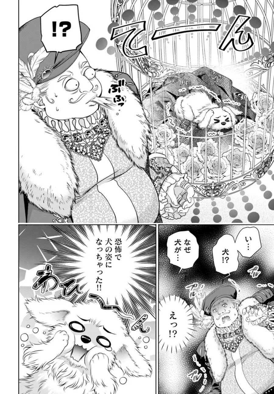 国王陛下、私を飼ってください! ～妹の身代わりで貢ぎ物にされましたが、愛され犬を目指します～ 第2話 - Page 10