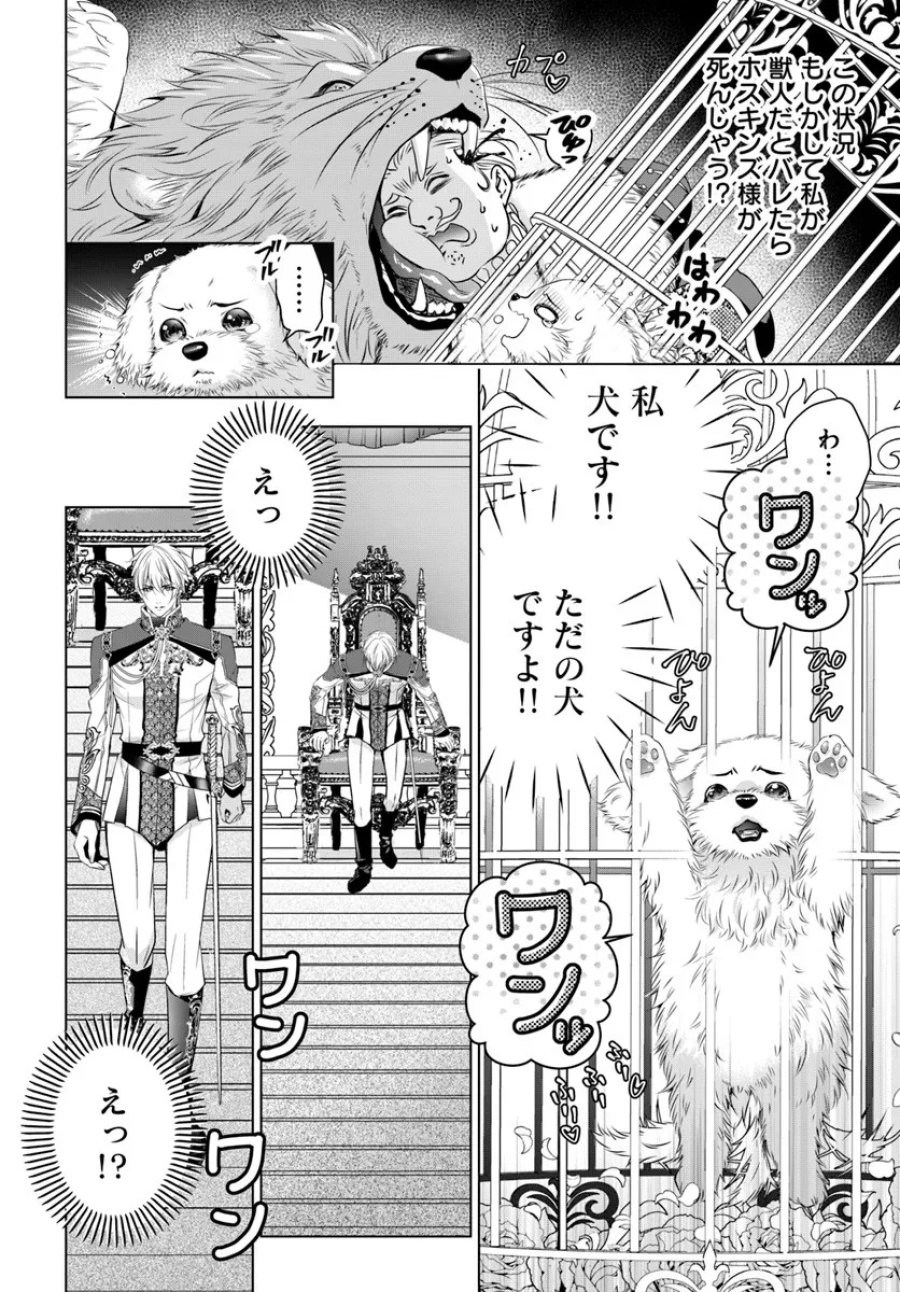 国王陛下、私を飼ってください! ～妹の身代わりで貢ぎ物にされましたが、愛され犬を目指します～ 第2話 - Page 14