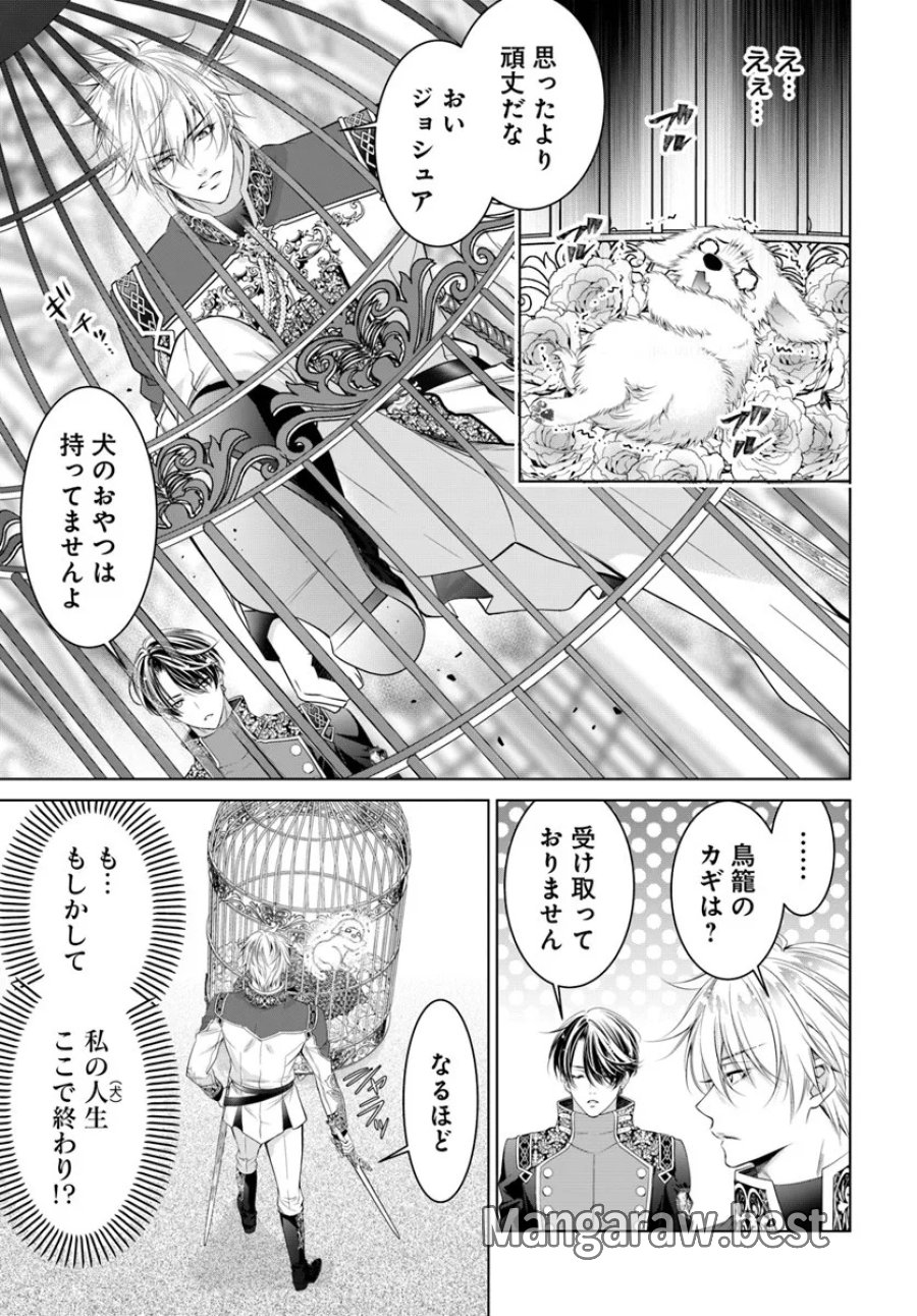 国王陛下、私を飼ってください! ～妹の身代わりで貢ぎ物にされましたが、愛され犬を目指します～ 第2話 - Page 17