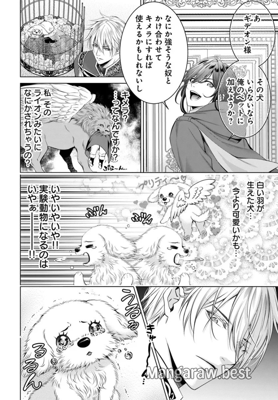 国王陛下、私を飼ってください! ～妹の身代わりで貢ぎ物にされましたが、愛され犬を目指します～ 第2話 - Page 20