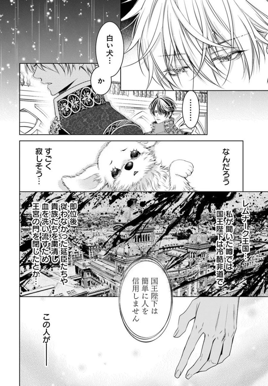 国王陛下、私を飼ってください! ～妹の身代わりで貢ぎ物にされましたが、愛され犬を目指します～ 第2話 - Page 22