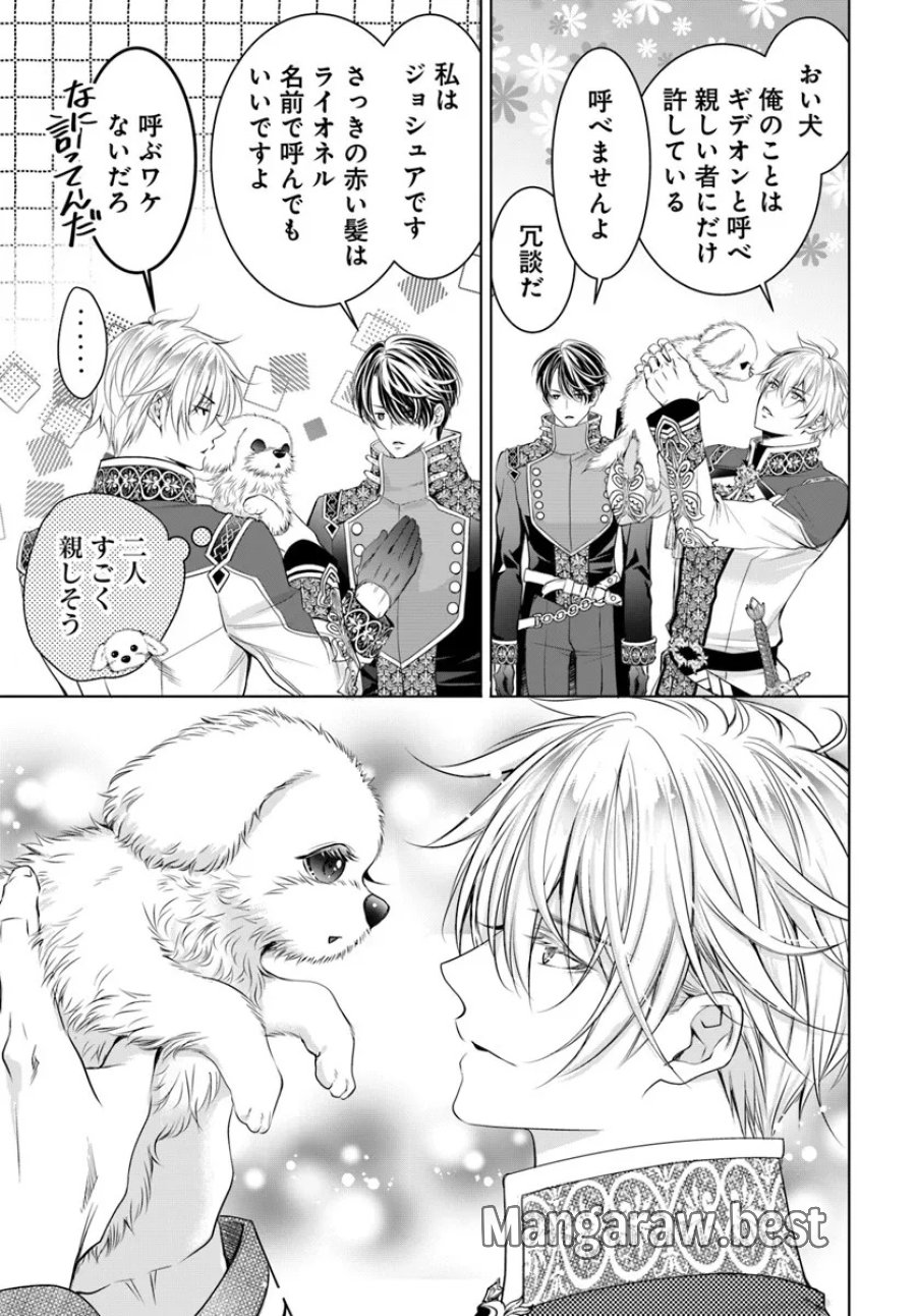 国王陛下、私を飼ってください! ～妹の身代わりで貢ぎ物にされましたが、愛され犬を目指します～ 第2話 - Page 23