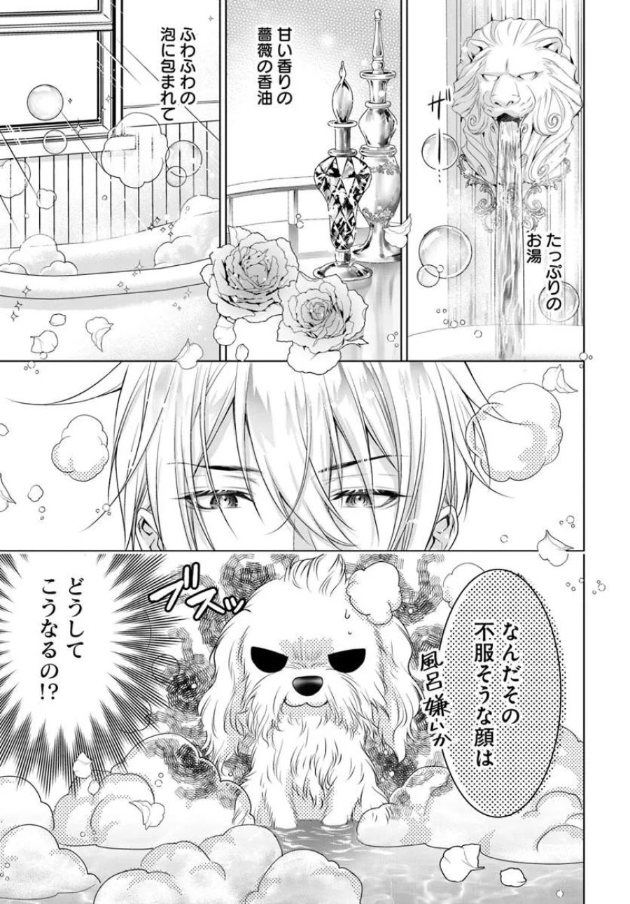 国王陛下、私を飼ってください! ～妹の身代わりで貢ぎ物にされましたが、愛され犬を目指します～ 第9.1話 - Page 1