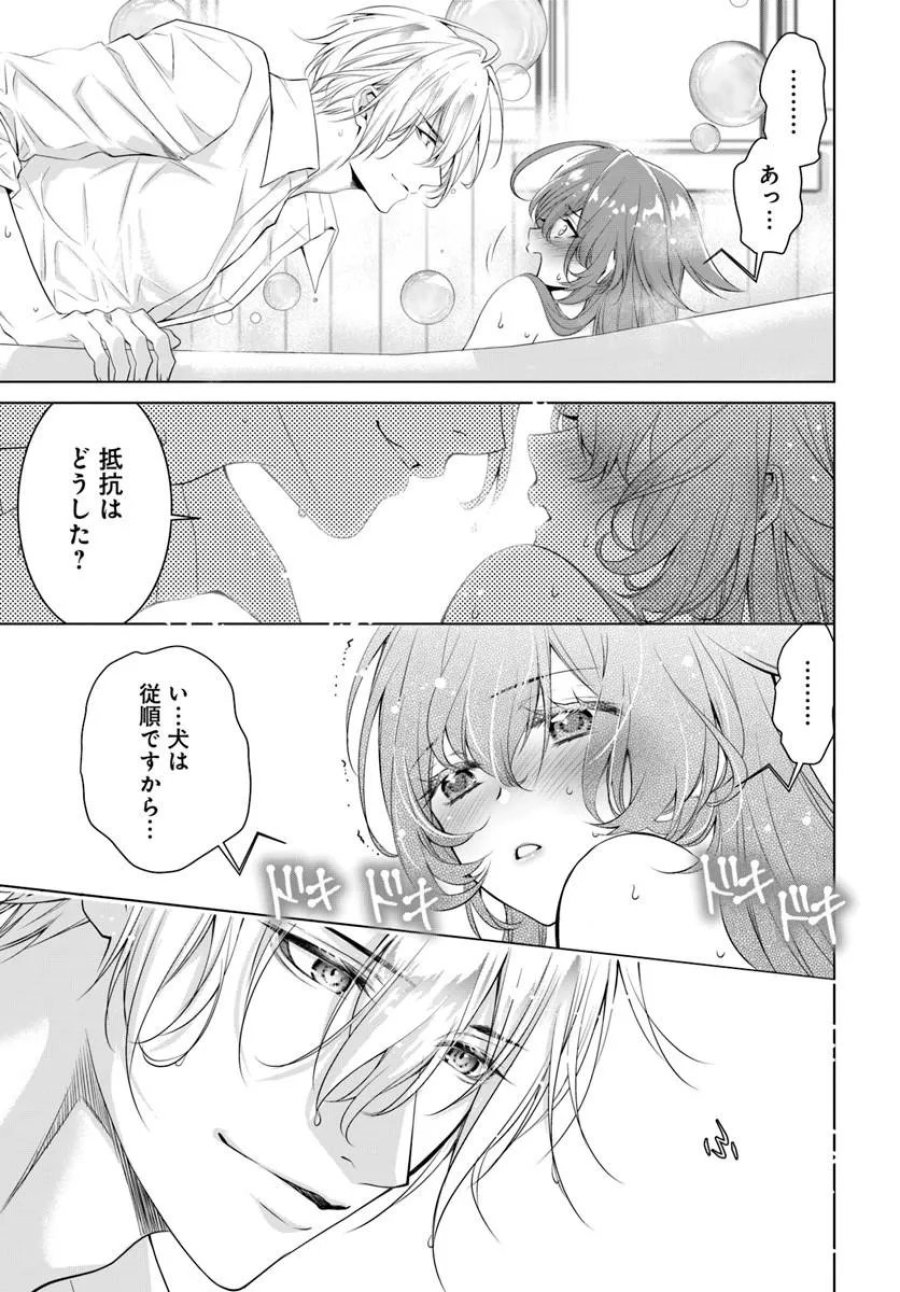 国王陛下、私を飼ってください! ～妹の身代わりで貢ぎ物にされましたが、愛され犬を目指します～ 第9.1話 - Page 7