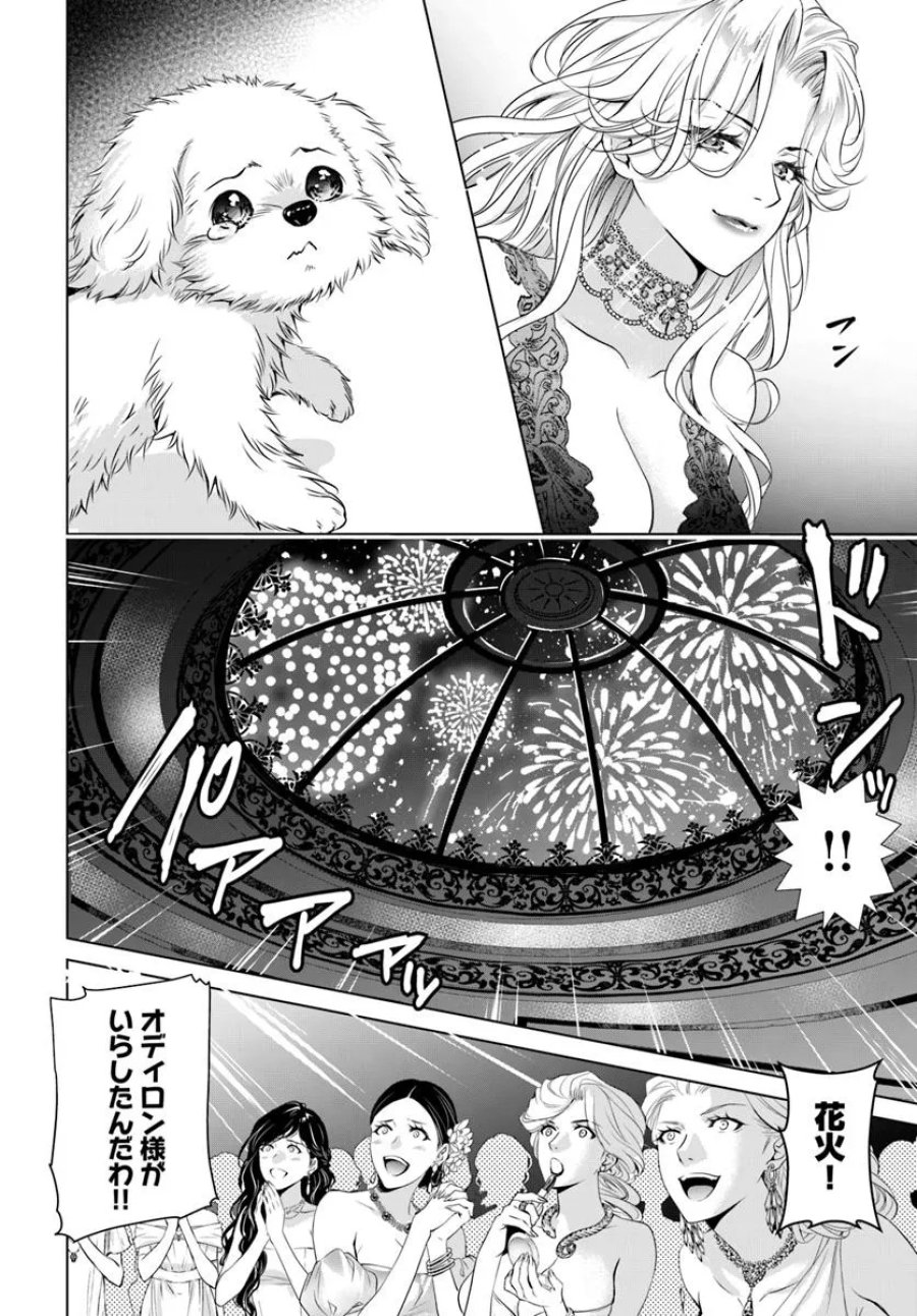 国王陛下、私を飼ってください! ～妹の身代わりで貢ぎ物にされましたが、愛され犬を目指します～ 第1話 - Page 11
