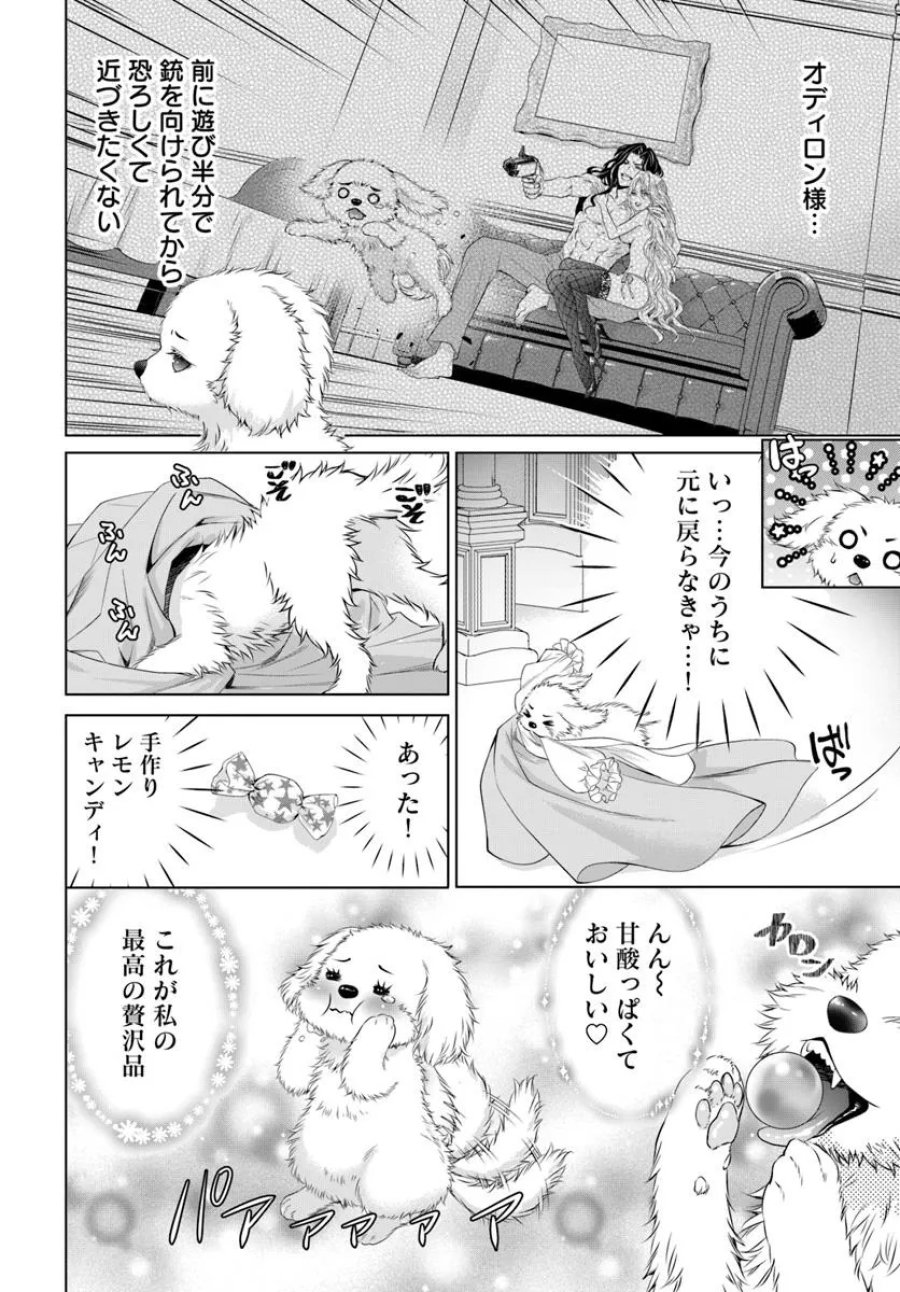 国王陛下、私を飼ってください! ～妹の身代わりで貢ぎ物にされましたが、愛され犬を目指します～ 第1話 - Page 13
