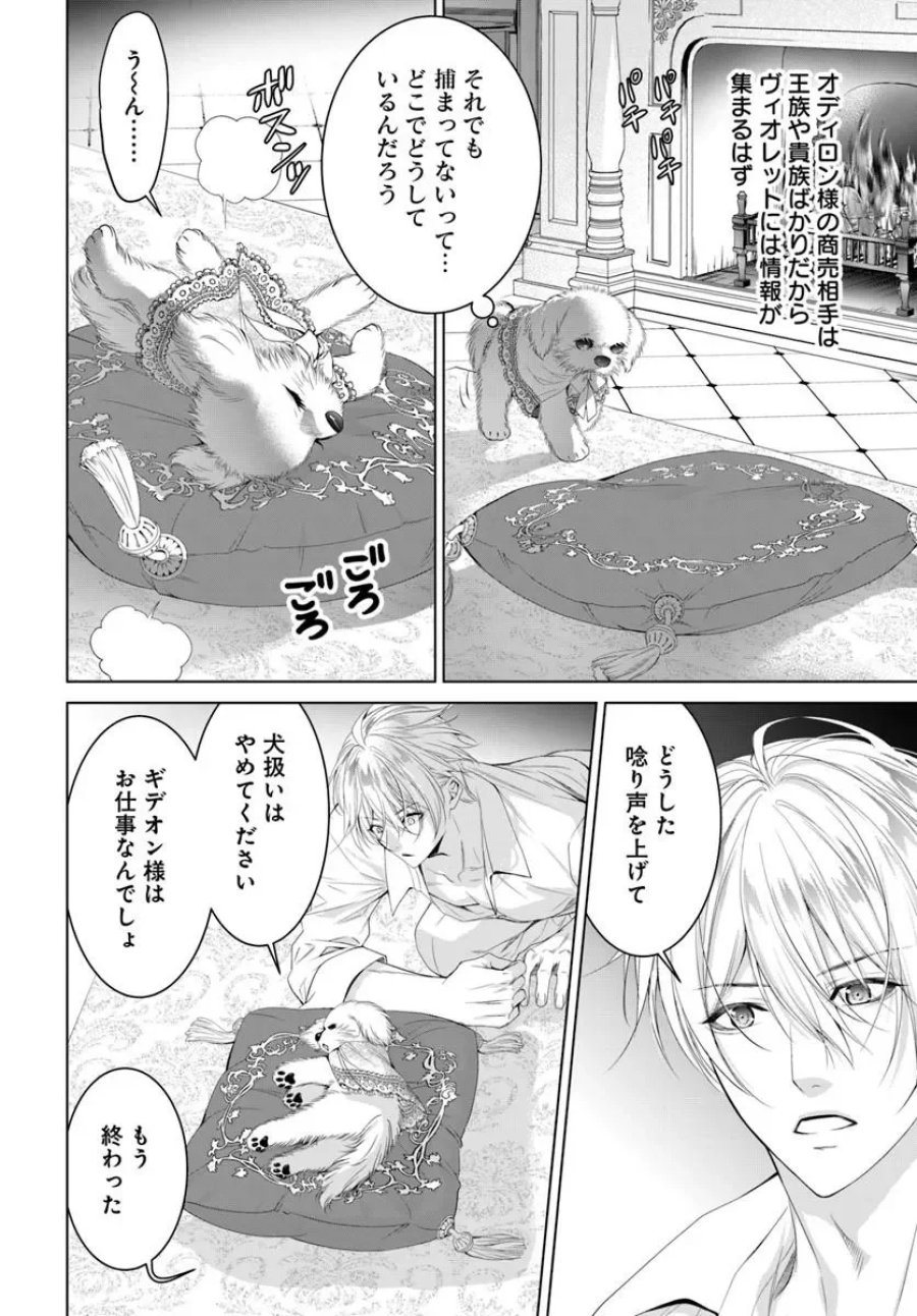 国王陛下、私を飼ってください! ～妹の身代わりで貢ぎ物にされましたが、愛され犬を目指します～ 第11.1話 - Page 2