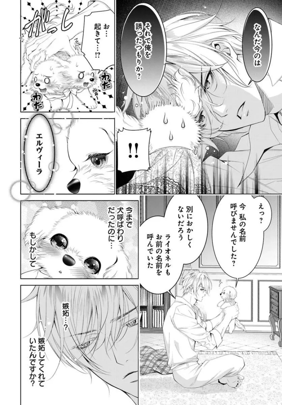 国王陛下、私を飼ってください! ～妹の身代わりで貢ぎ物にされましたが、愛され犬を目指します～ 第11.1話 - Page 6
