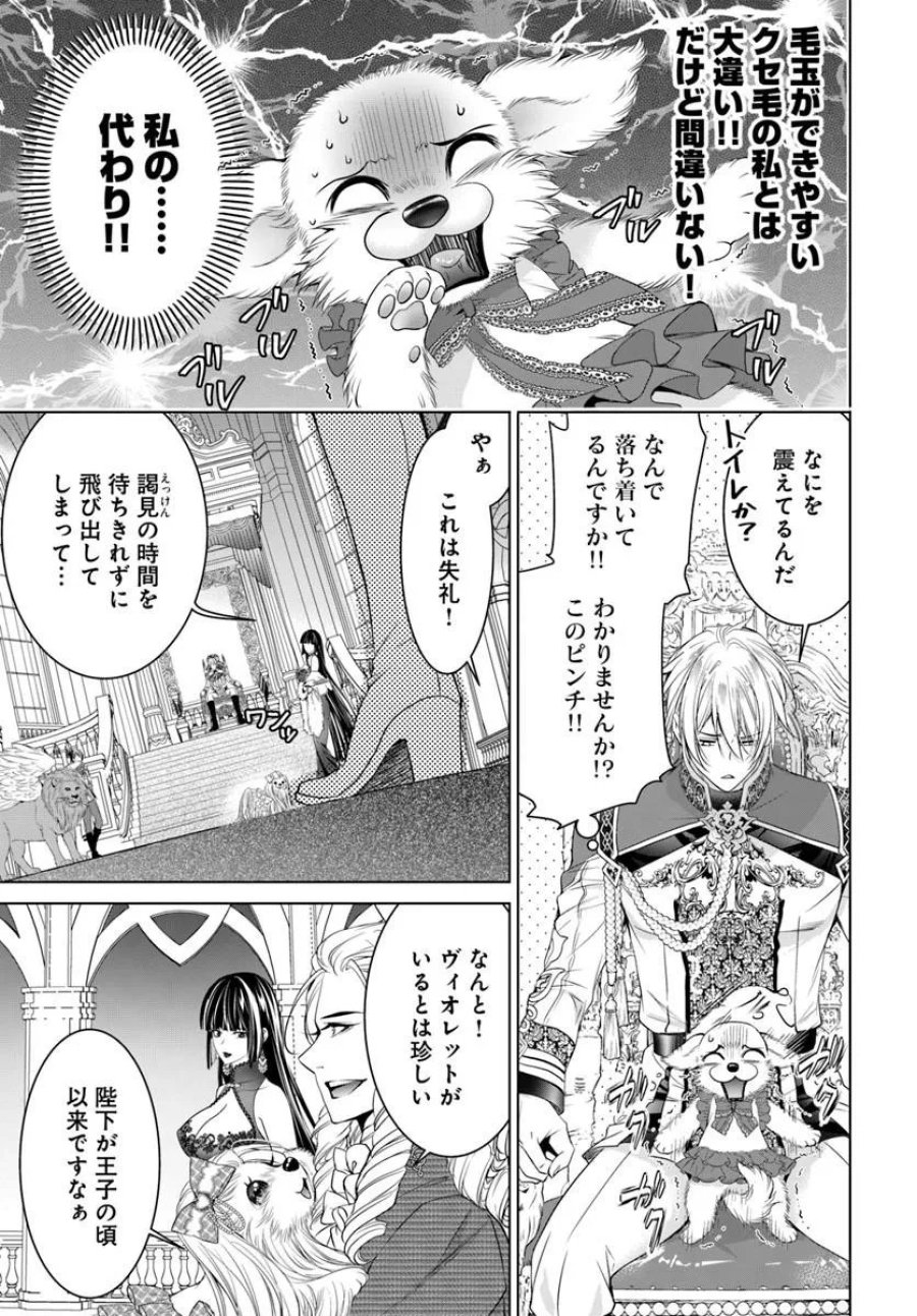 国王陛下、私を飼ってください! ～妹の身代わりで貢ぎ物にされましたが、愛され犬を目指します～ 第10.2話 - Page 2
