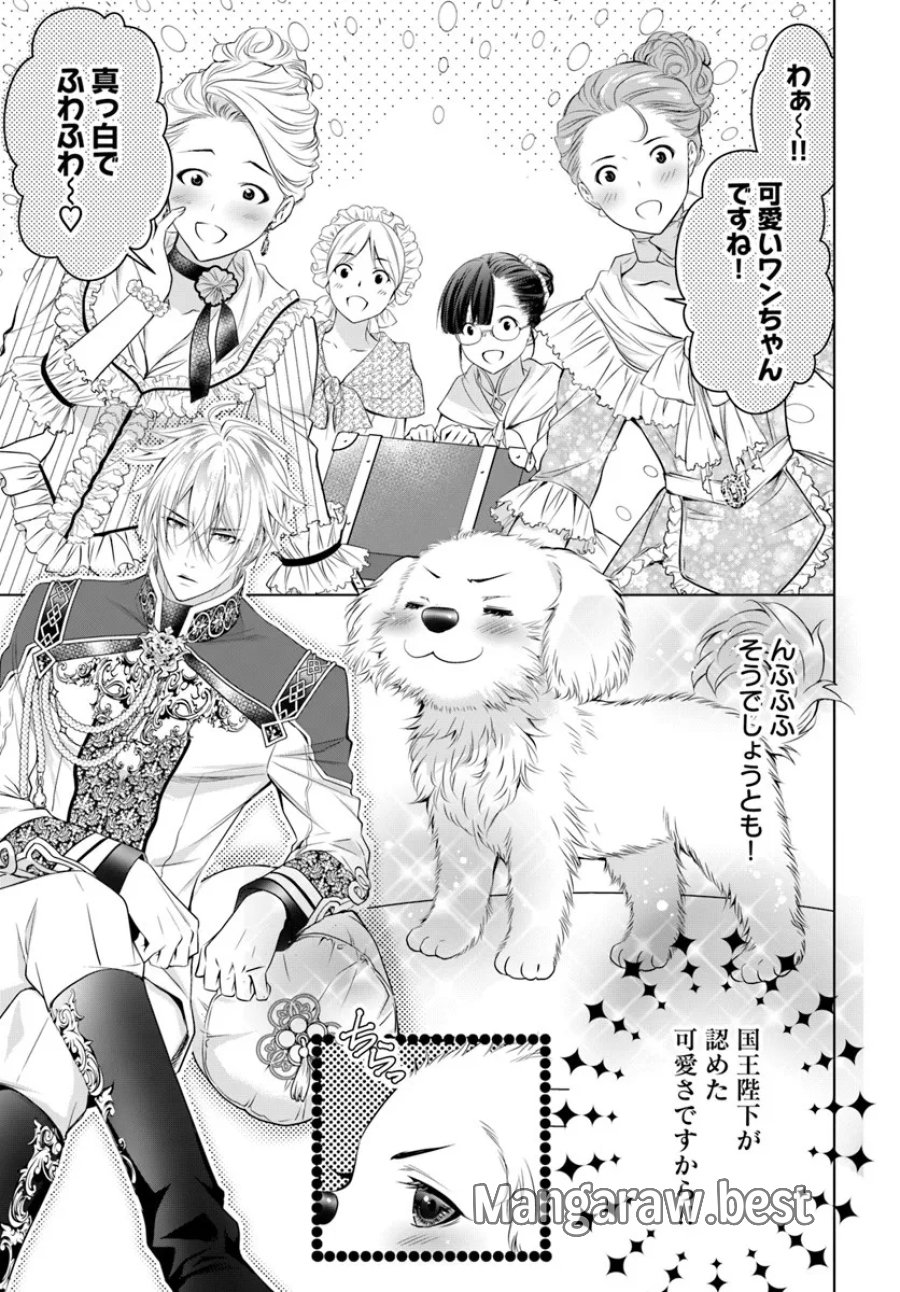 国王陛下、私を飼ってください! ～妹の身代わりで貢ぎ物にされましたが、愛され犬を目指します～ 第6話 - Page 1