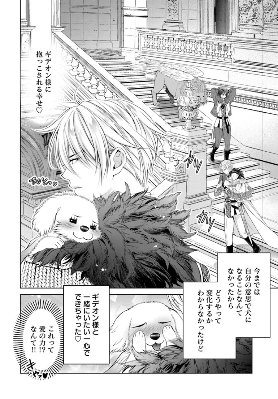 国王陛下、私を飼ってください! ～妹の身代わりで貢ぎ物にされましたが、愛され犬を目指します～ 第6話 - Page 22