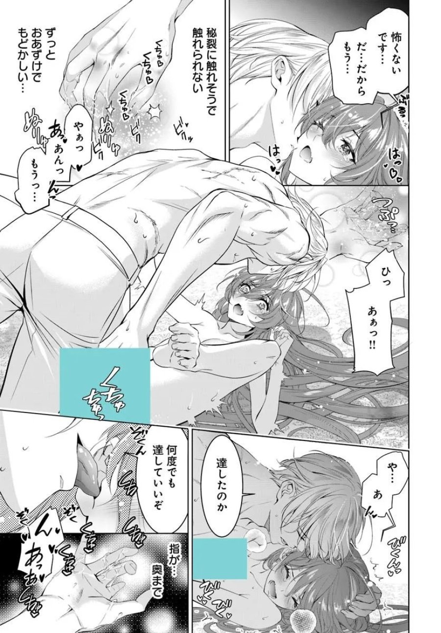 国王陛下、私を飼ってください! ～妹の身代わりで貢ぎ物にされましたが、愛され犬を目指します～ 第11.2話 - Page 3