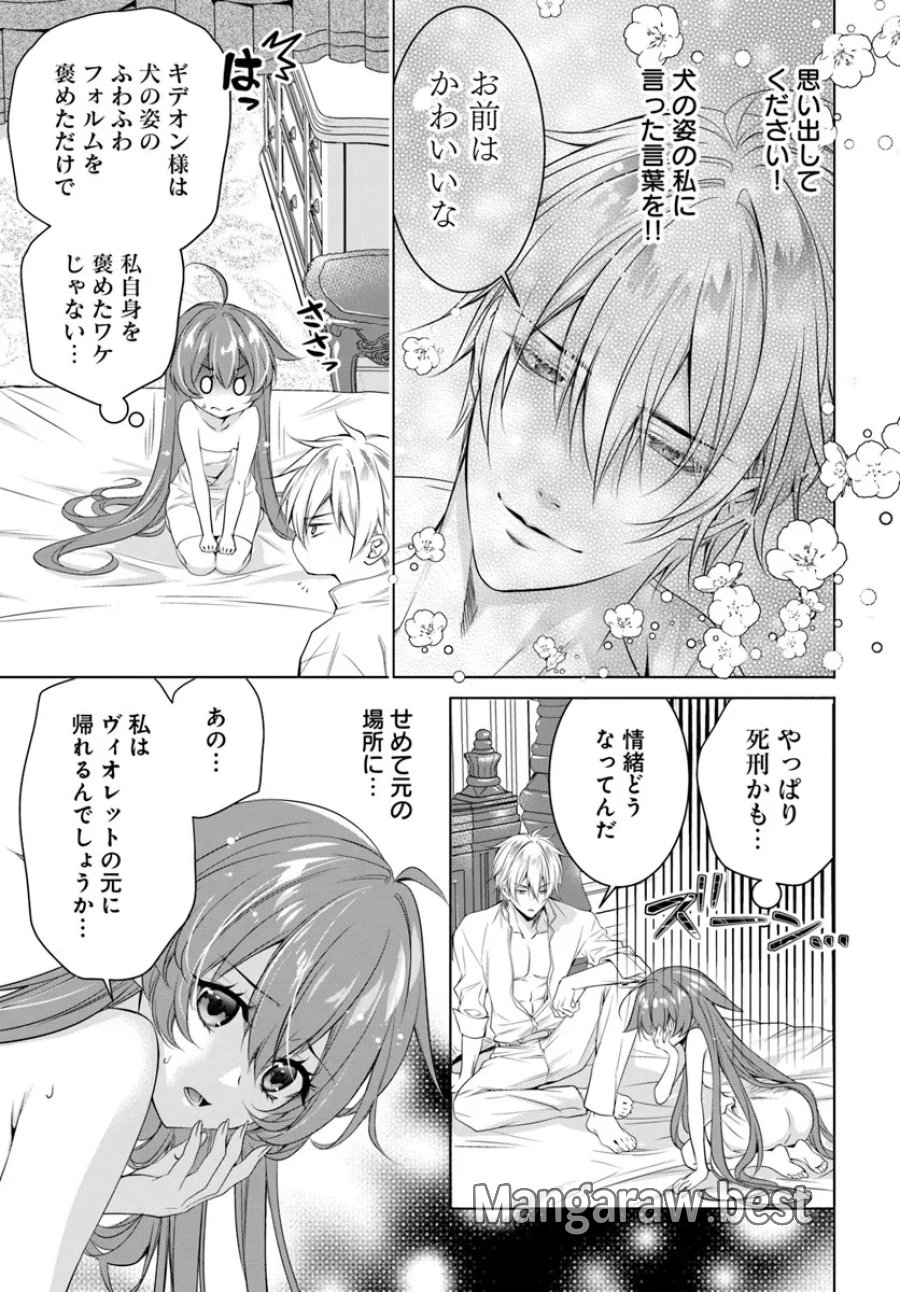 国王陛下、私を飼ってください! ～妹の身代わりで貢ぎ物にされましたが、愛され犬を目指します～ 第4話 - Page 11