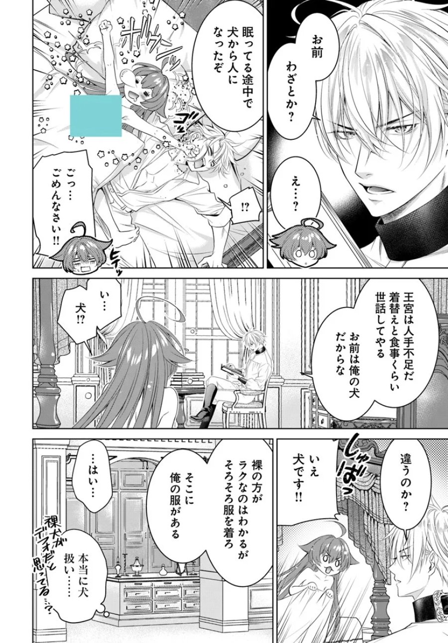 国王陛下、私を飼ってください! ～妹の身代わりで貢ぎ物にされましたが、愛され犬を目指します～ 第5話 - Page 14