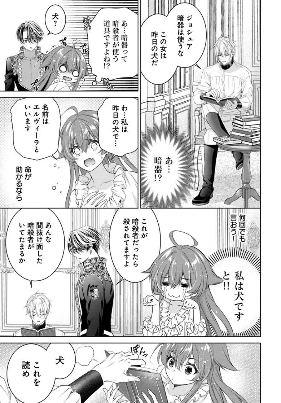 国王陛下、私を飼ってください! ～妹の身代わりで貢ぎ物にされましたが、愛され犬を目指します～ 第5話 - Page 17