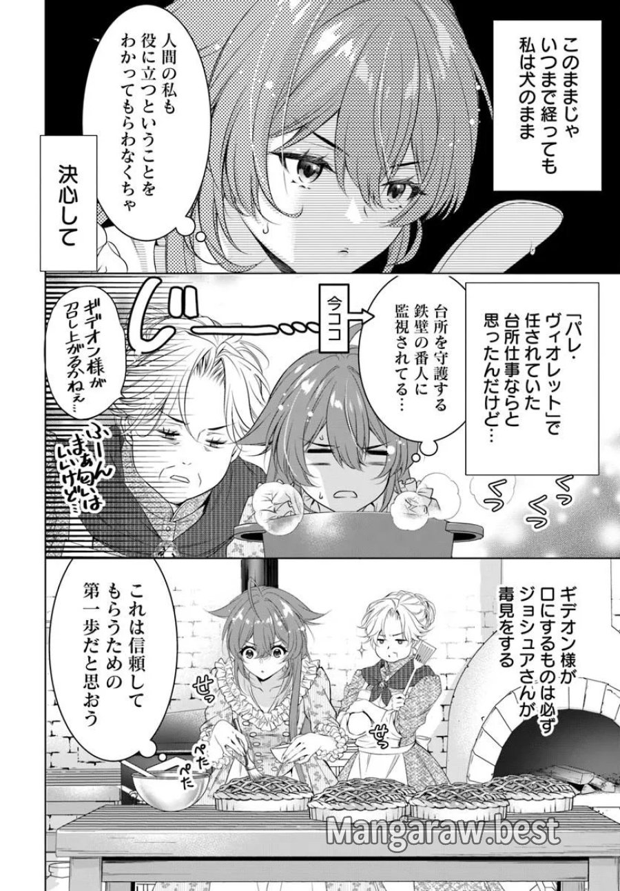 国王陛下、私を飼ってください! ～妹の身代わりで貢ぎ物にされましたが、愛され犬を目指します～ 第8話 - Page 4