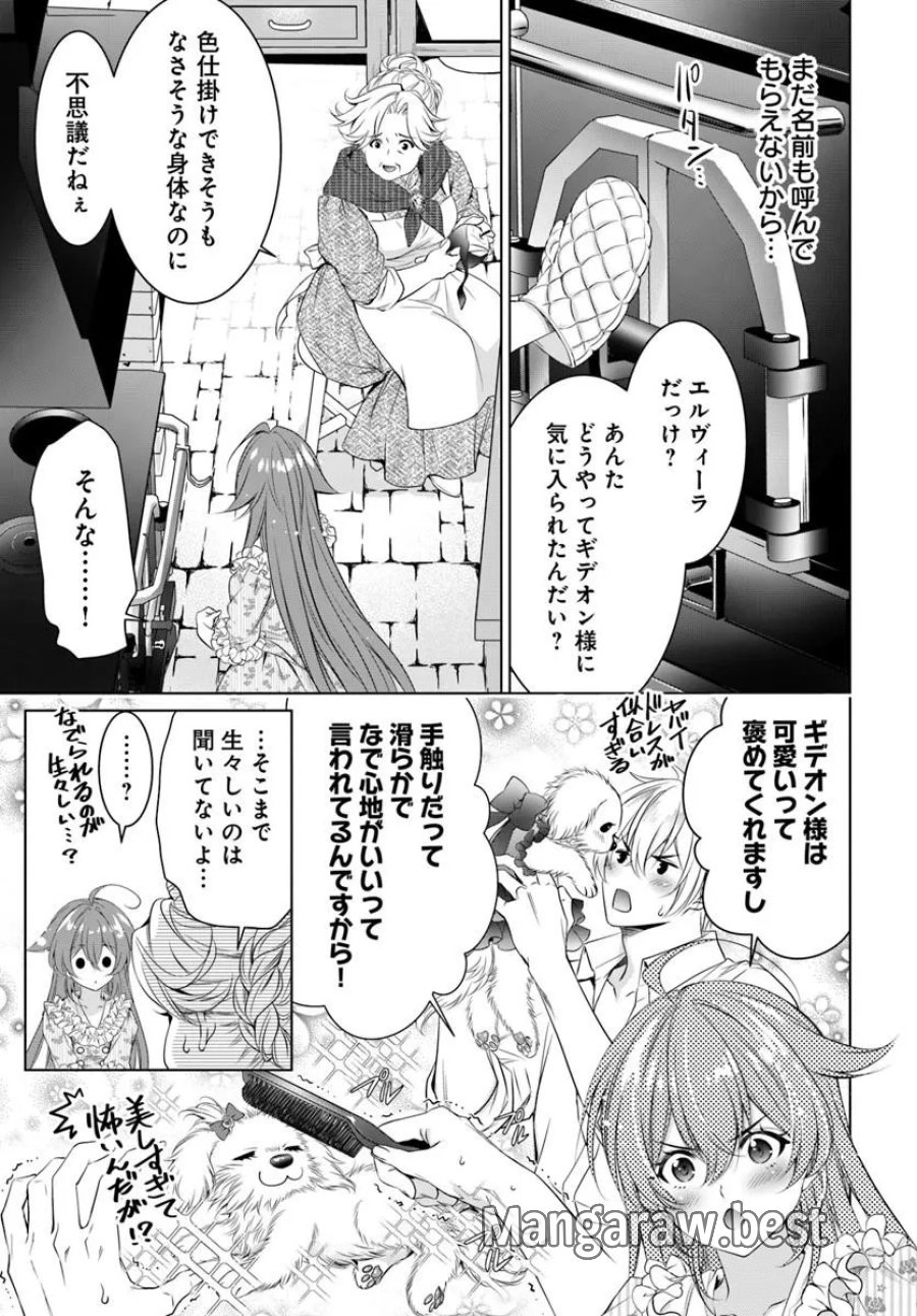 国王陛下、私を飼ってください! ～妹の身代わりで貢ぎ物にされましたが、愛され犬を目指します～ 第8話 - Page 5