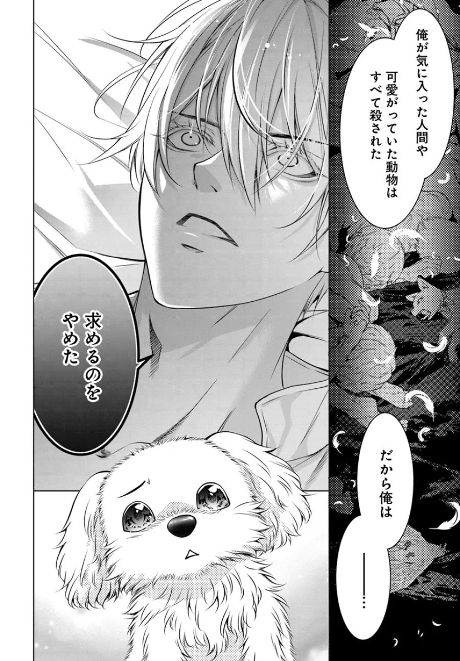 国王陛下、私を飼ってください! ～妹の身代わりで貢ぎ物にされましたが、愛され犬を目指します～ 第3話 - Page 14