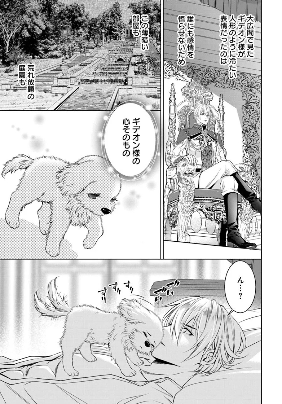 国王陛下、私を飼ってください! ～妹の身代わりで貢ぎ物にされましたが、愛され犬を目指します～ 第3話 - Page 15