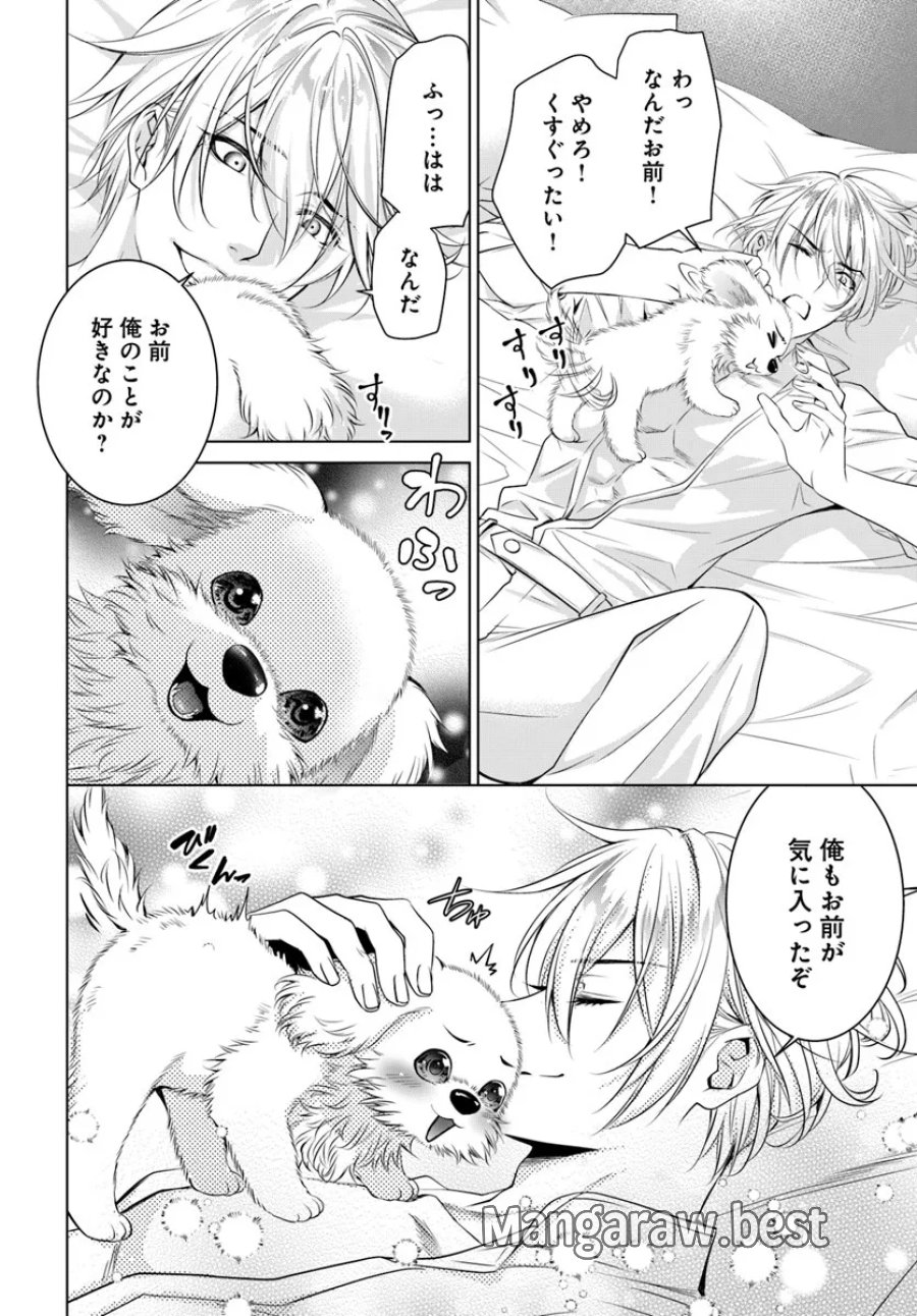 国王陛下、私を飼ってください! ～妹の身代わりで貢ぎ物にされましたが、愛され犬を目指します～ 第3話 - Page 16