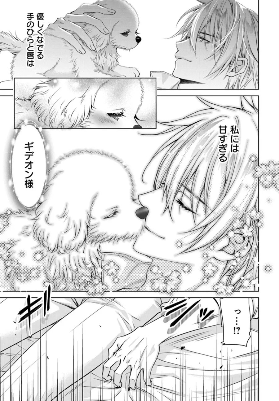 国王陛下、私を飼ってください! ～妹の身代わりで貢ぎ物にされましたが、愛され犬を目指します～ 第3話 - Page 19