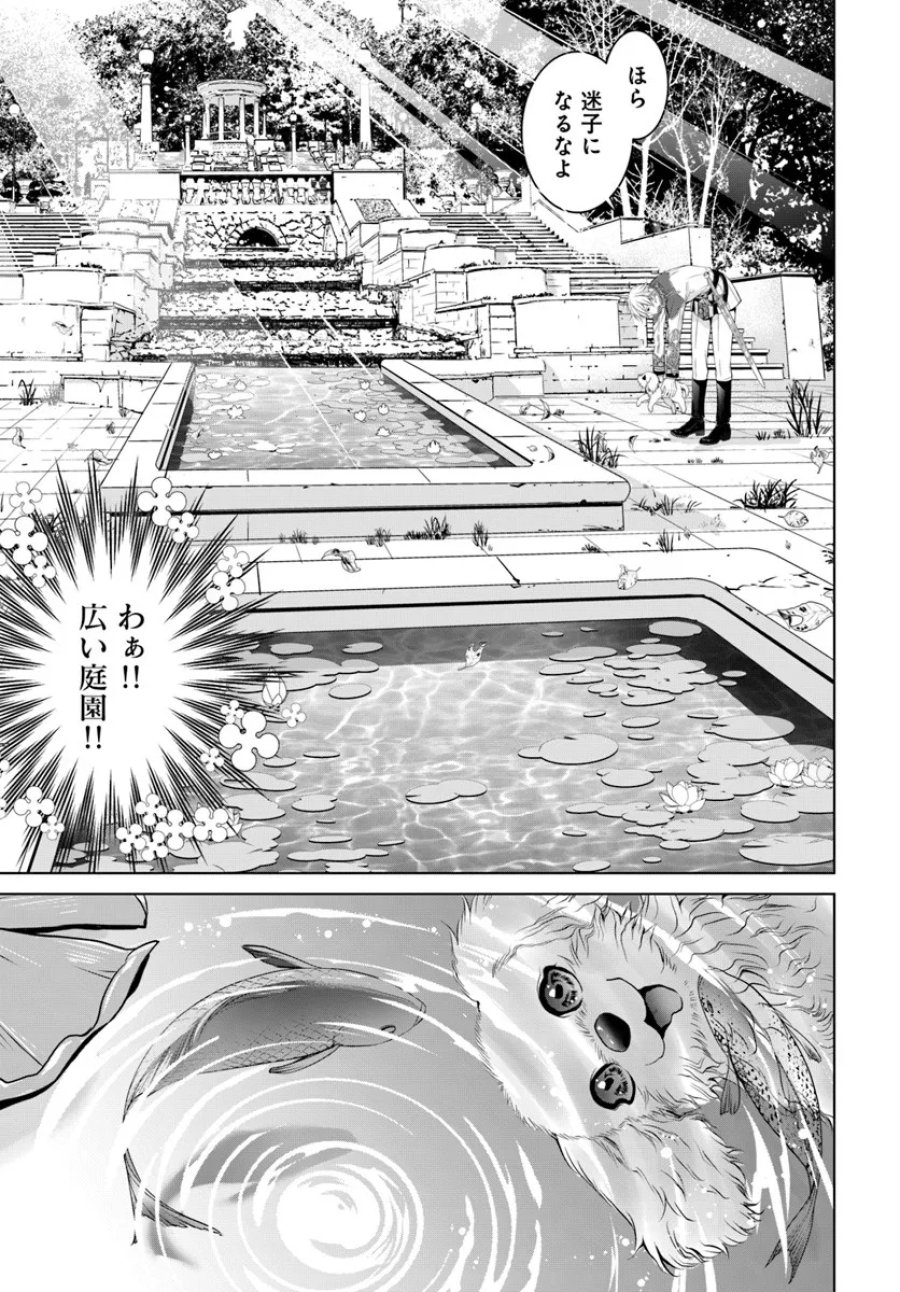 国王陛下、私を飼ってください! ～妹の身代わりで貢ぎ物にされましたが、愛され犬を目指します～ 第3話 - Page 3