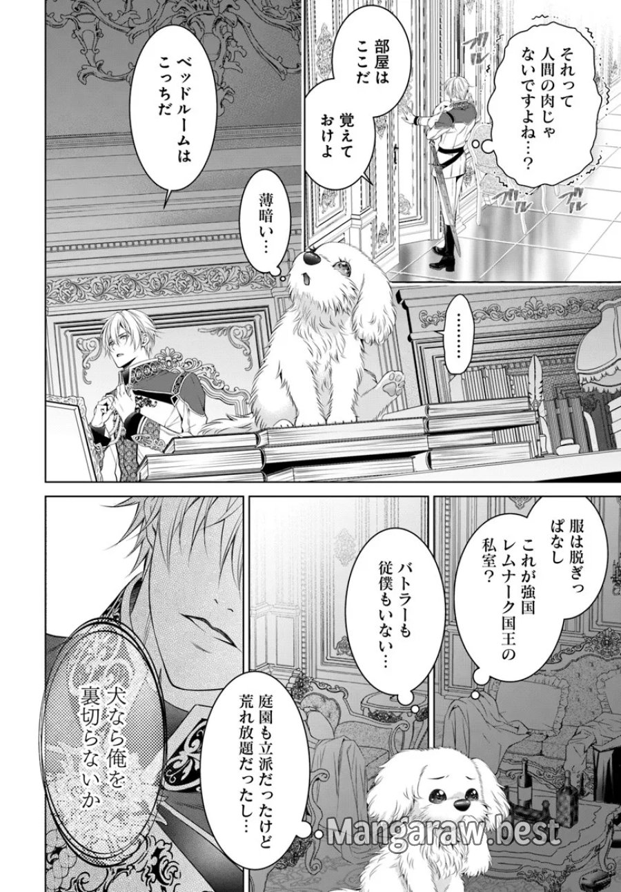 国王陛下、私を飼ってください! ～妹の身代わりで貢ぎ物にされましたが、愛され犬を目指します～ 第3話 - Page 6