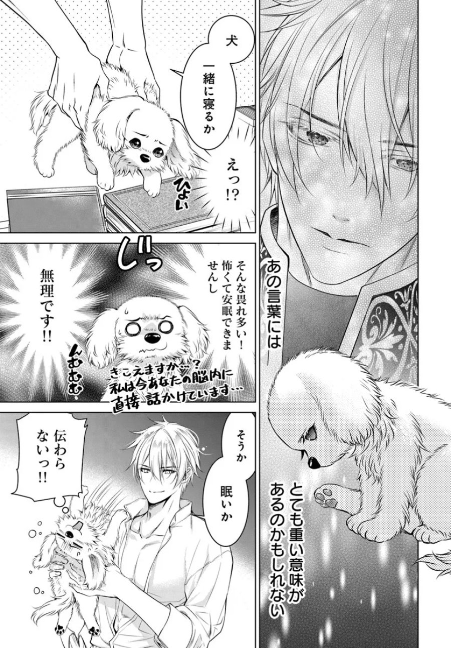 国王陛下、私を飼ってください! ～妹の身代わりで貢ぎ物にされましたが、愛され犬を目指します～ 第3話 - Page 7
