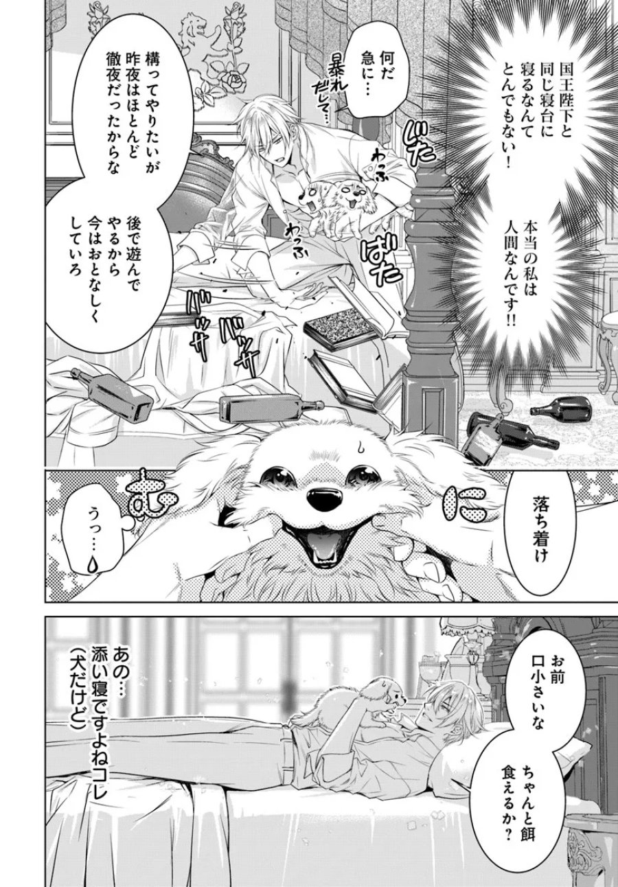 国王陛下、私を飼ってください! ～妹の身代わりで貢ぎ物にされましたが、愛され犬を目指します～ 第3話 - Page 8